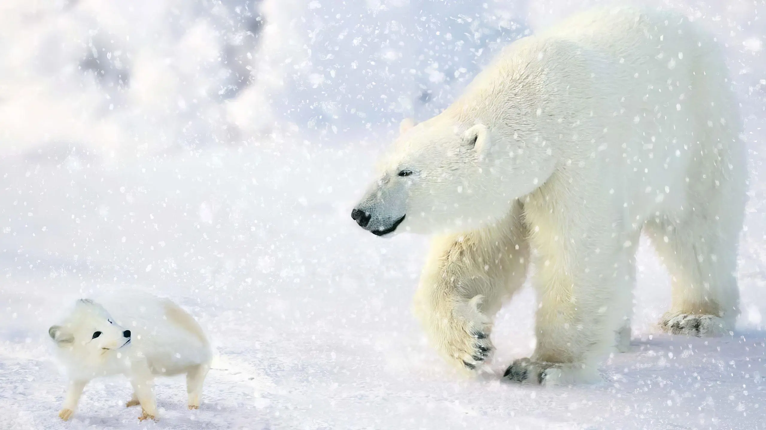 Das große Eisbär Abenteuer - Kleiner Eisbär ganz groß