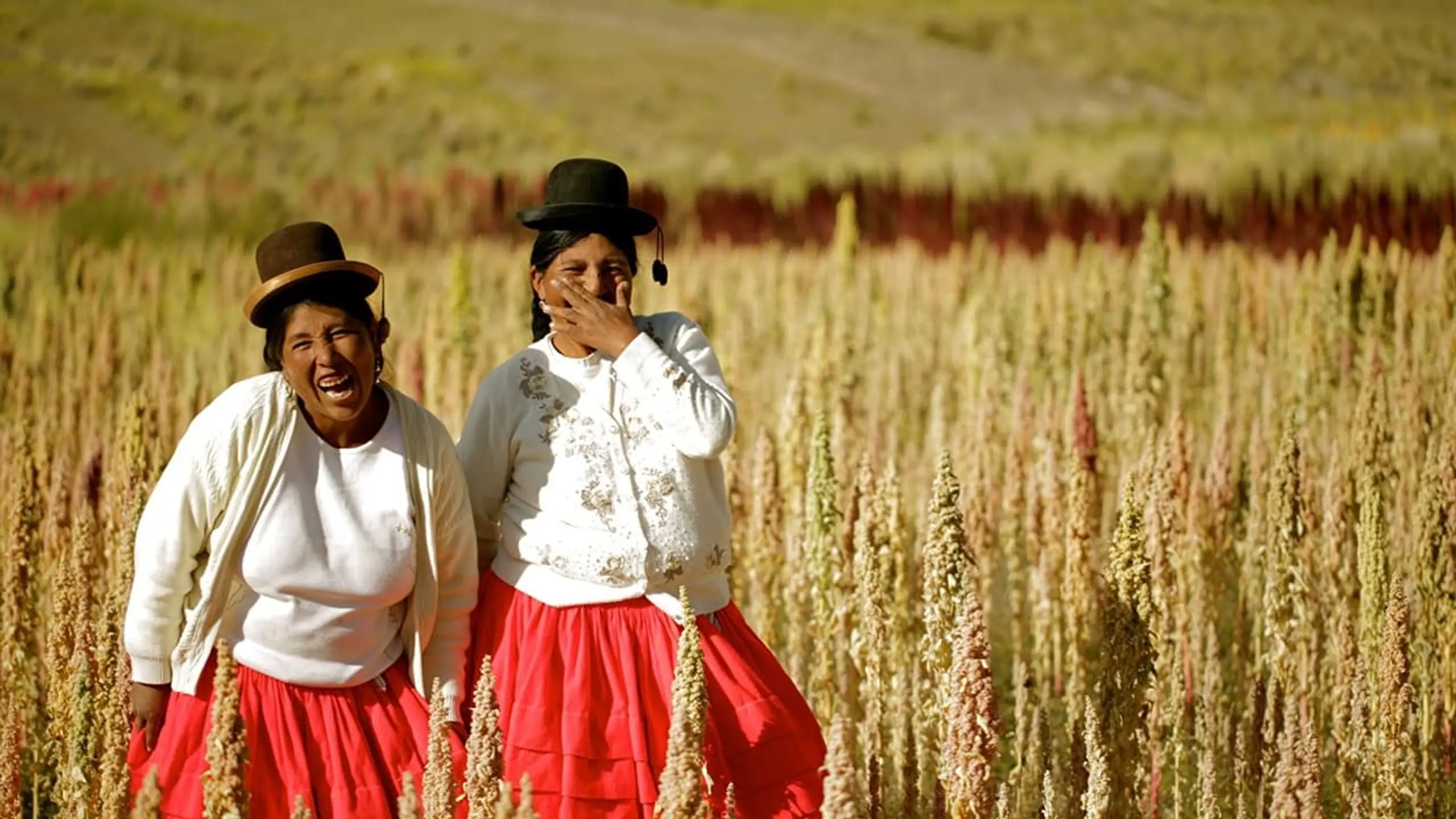 Gastons Küche - Aus Peru in die Welt