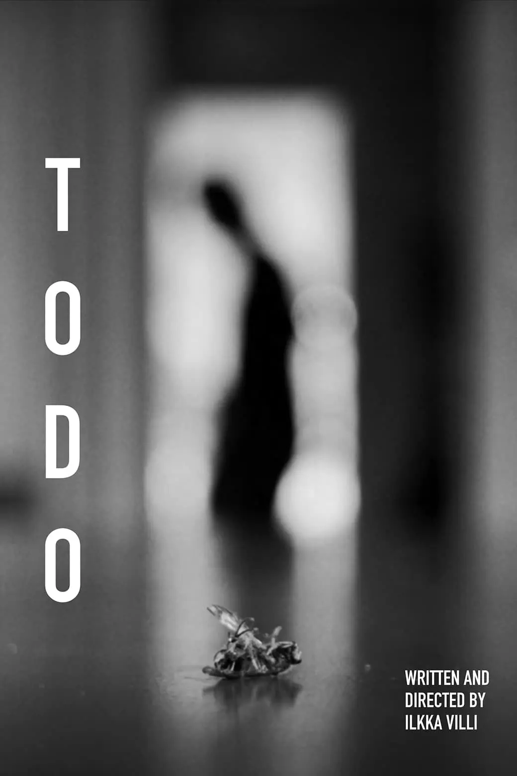 Todo