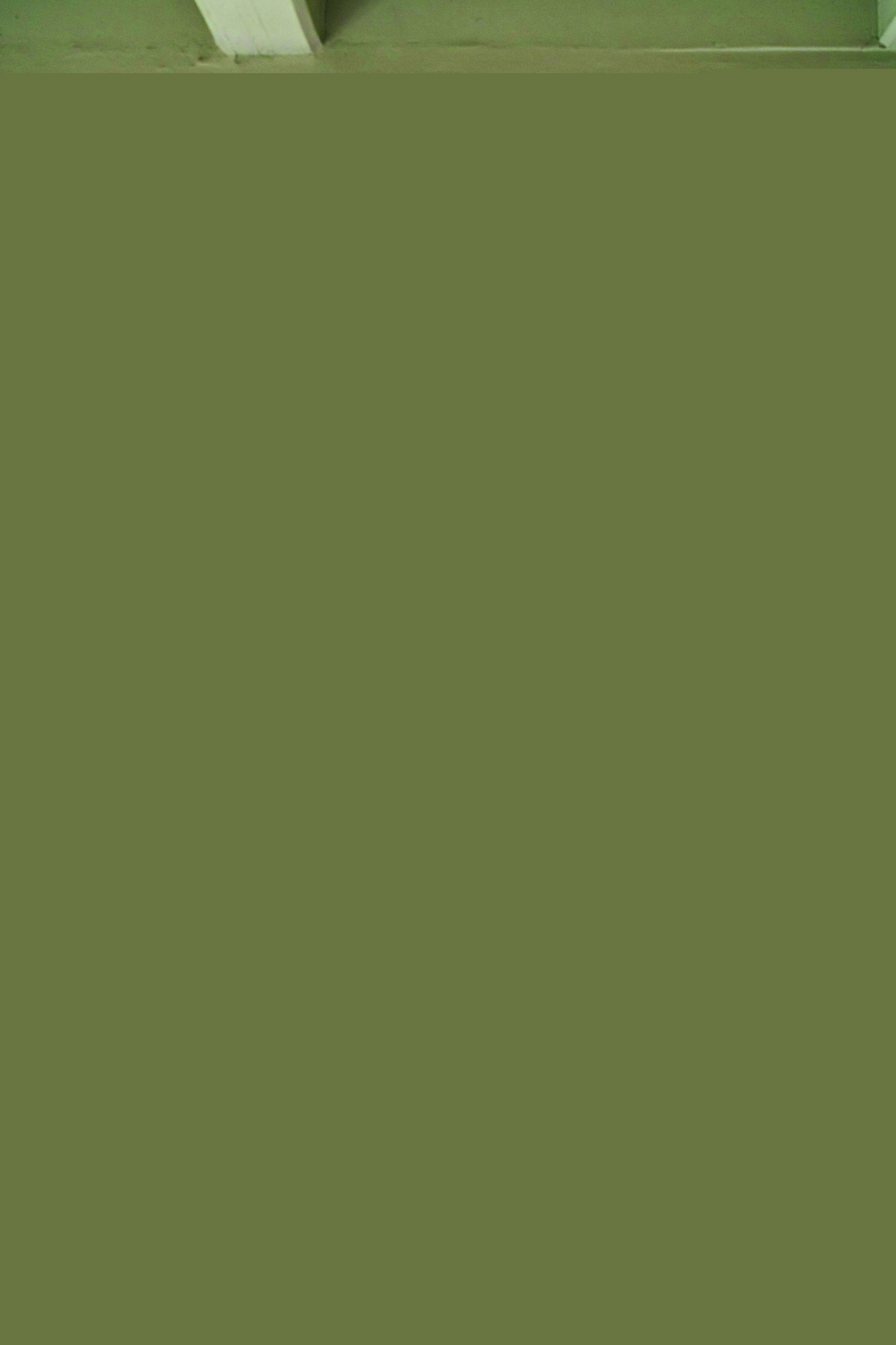 Blurred image background