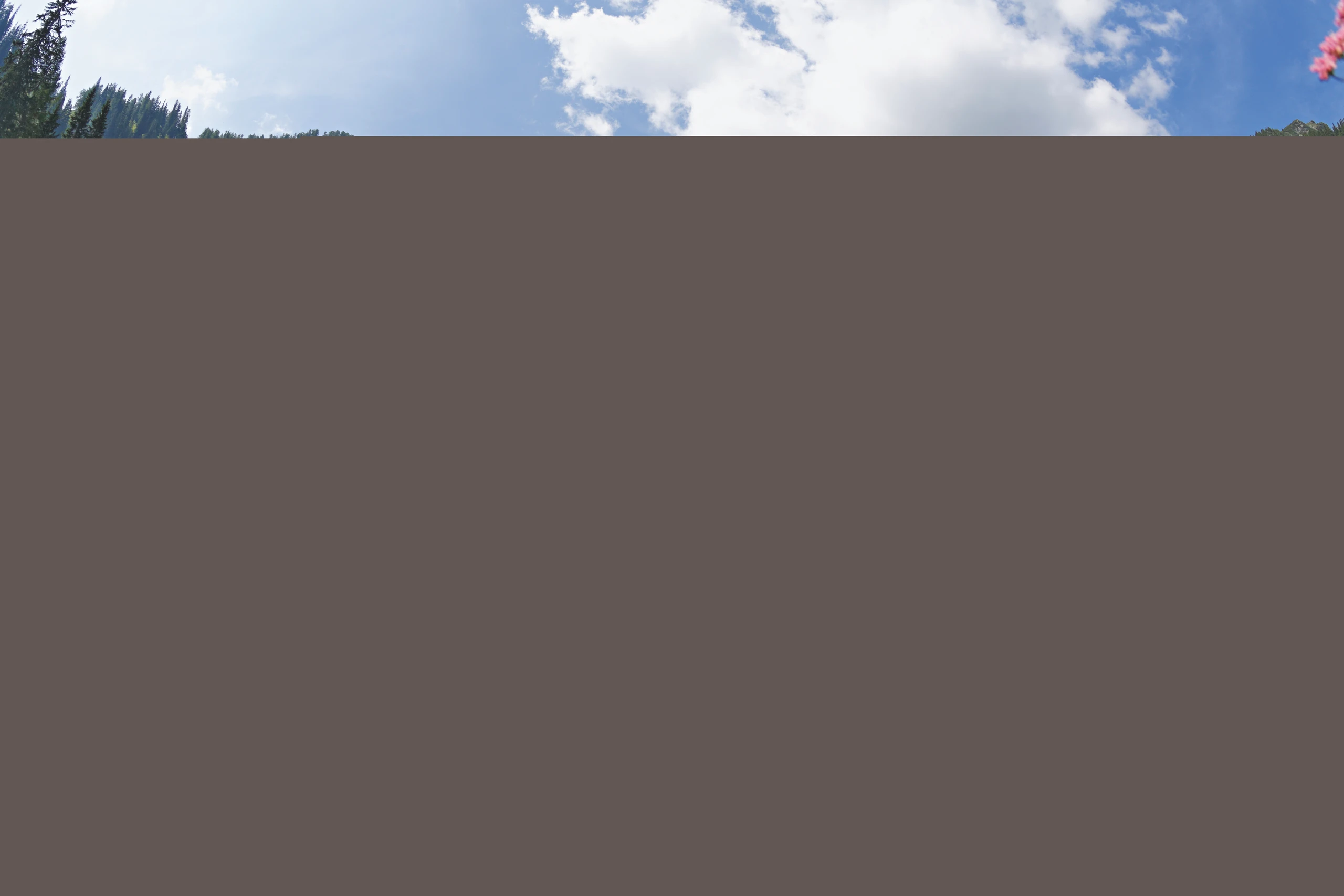Blurred image background