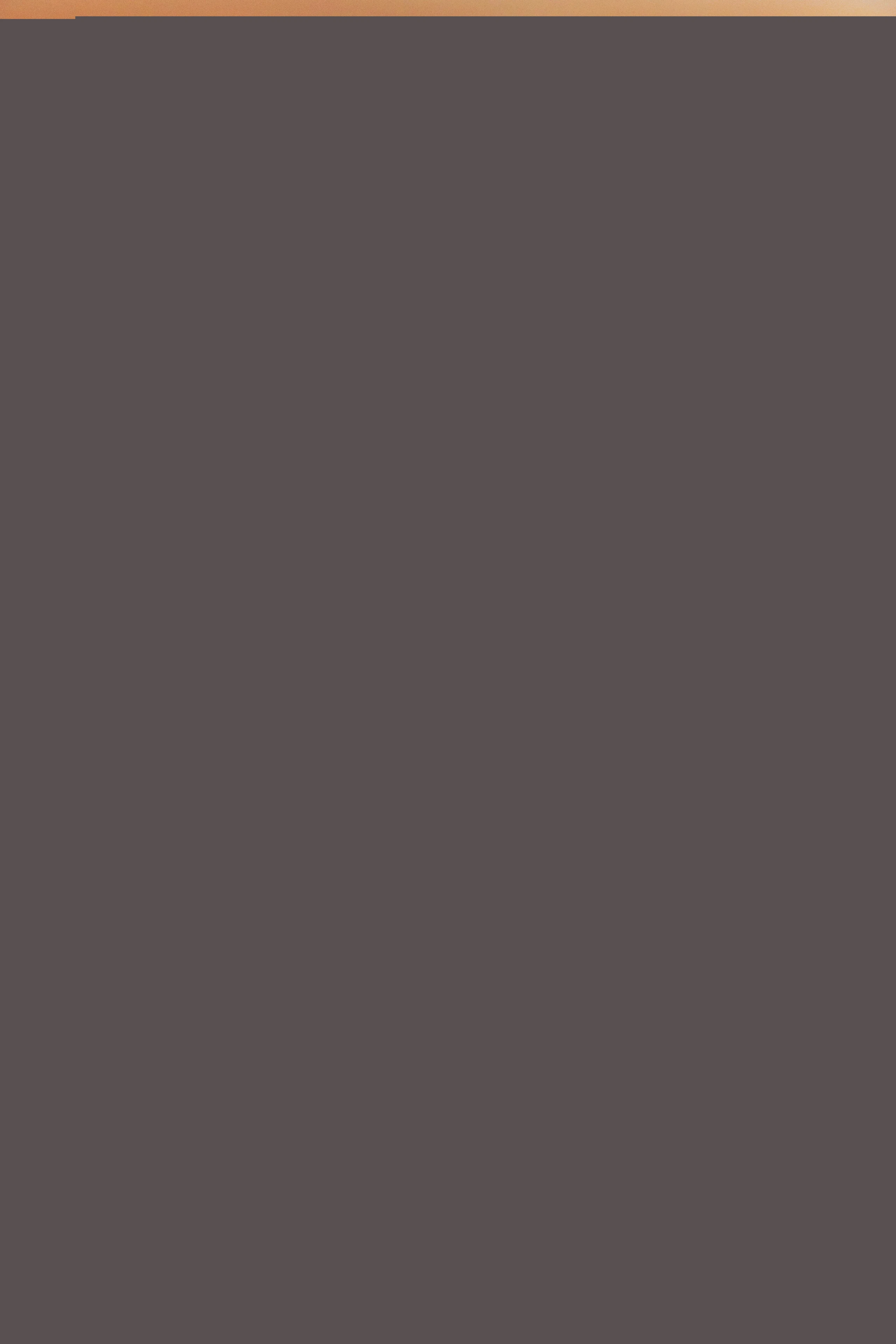 Blurred image background