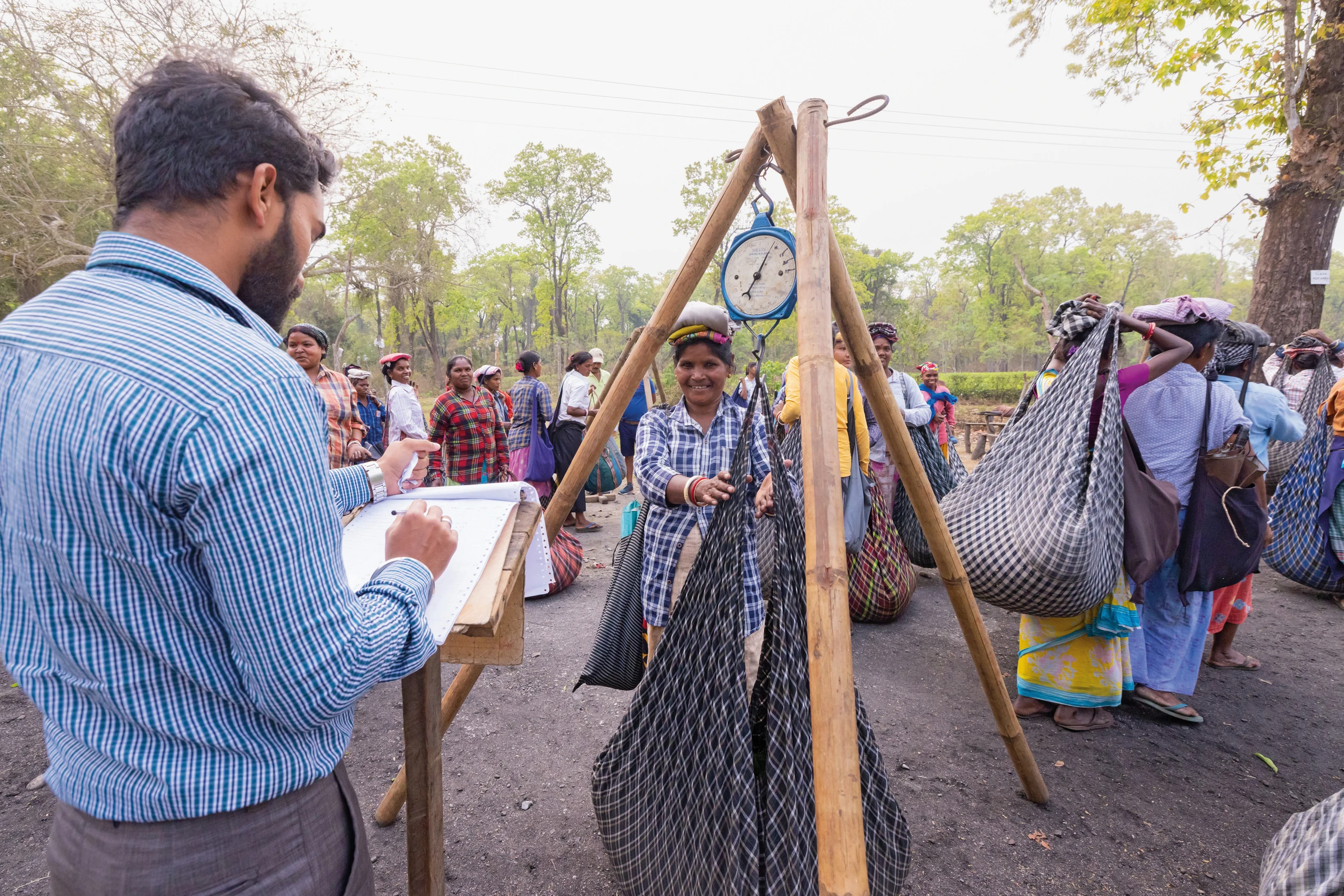 Blurred image background