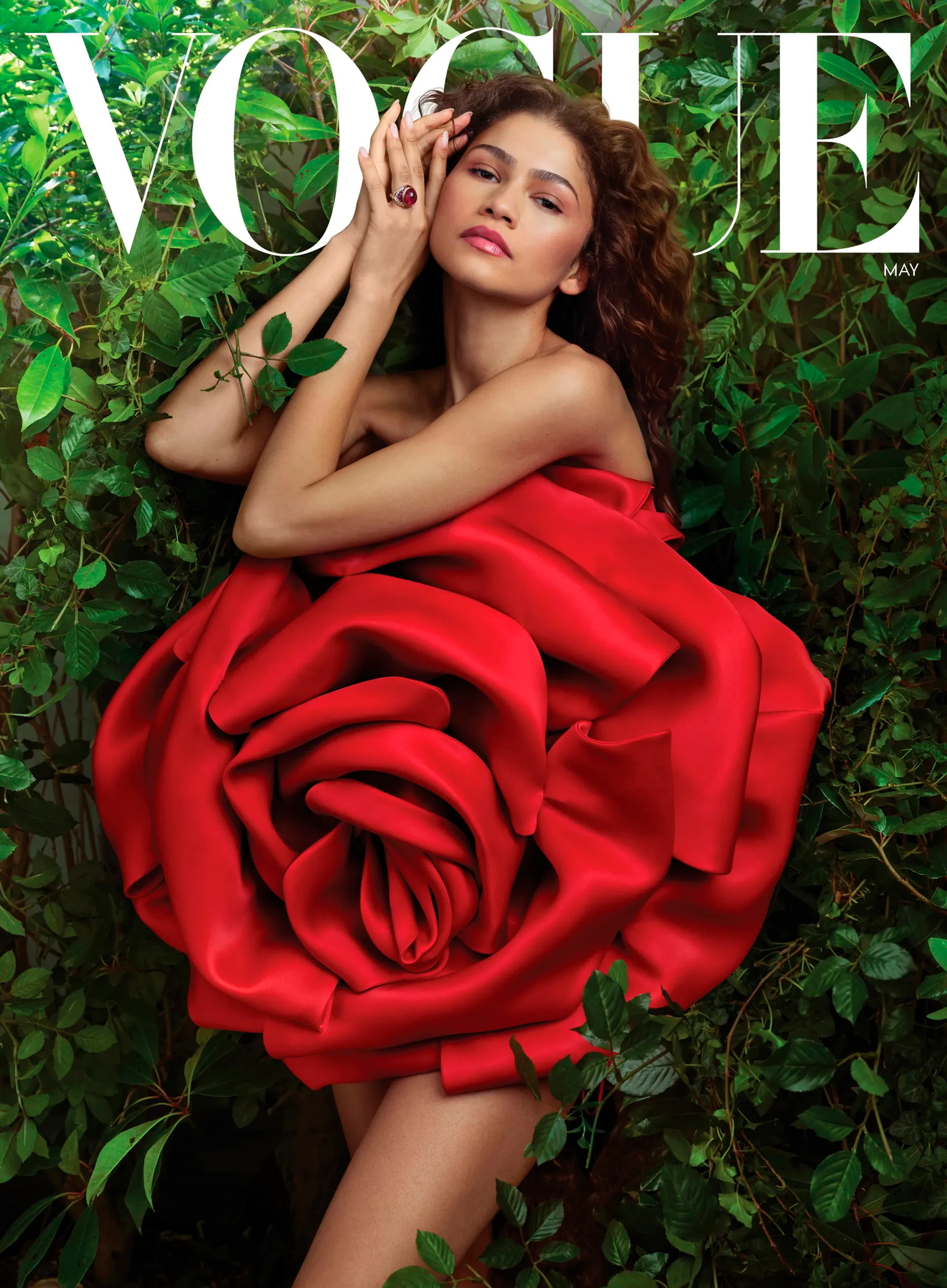 Blurred image background