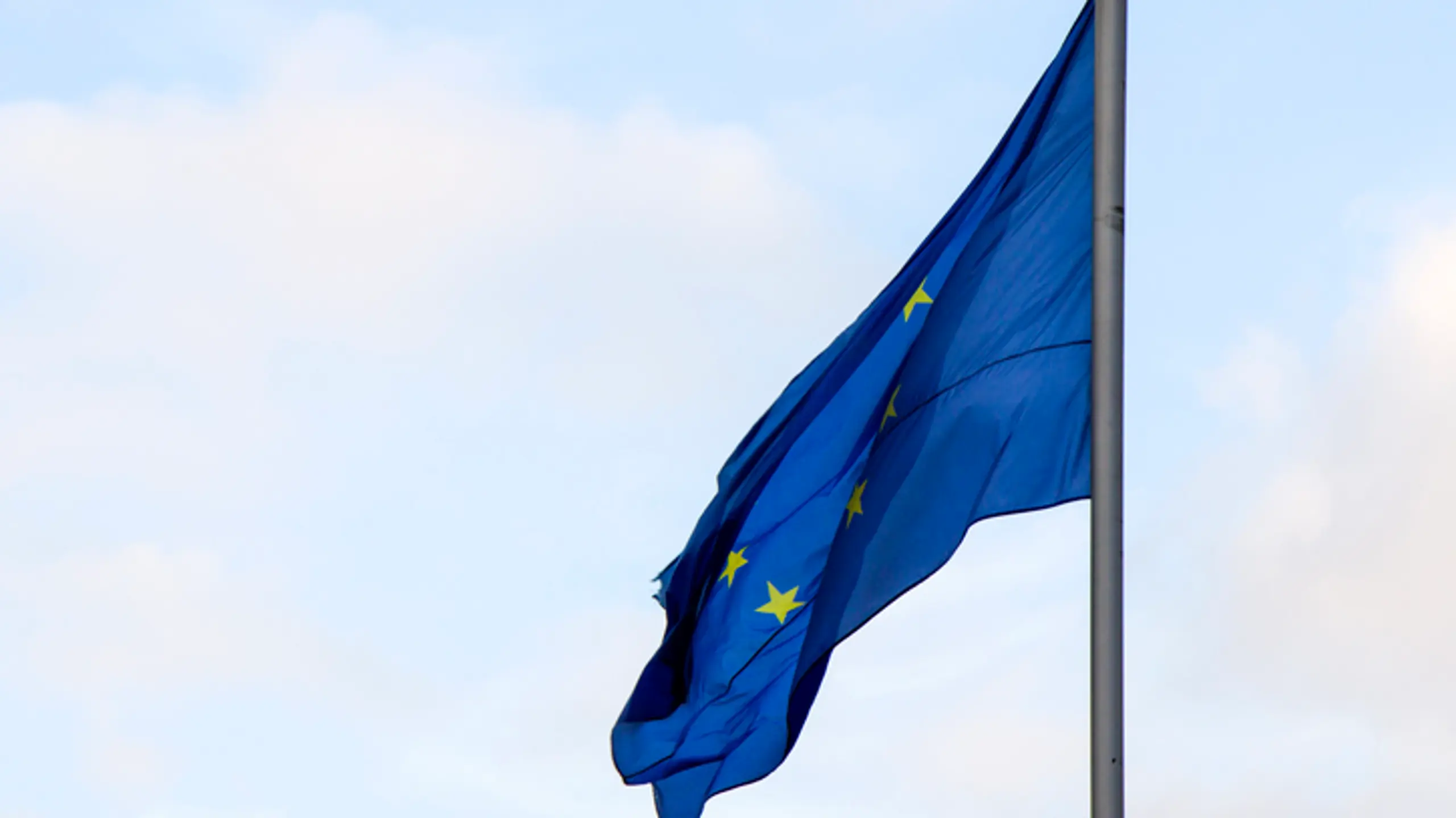 Europawahl - Europaflagge