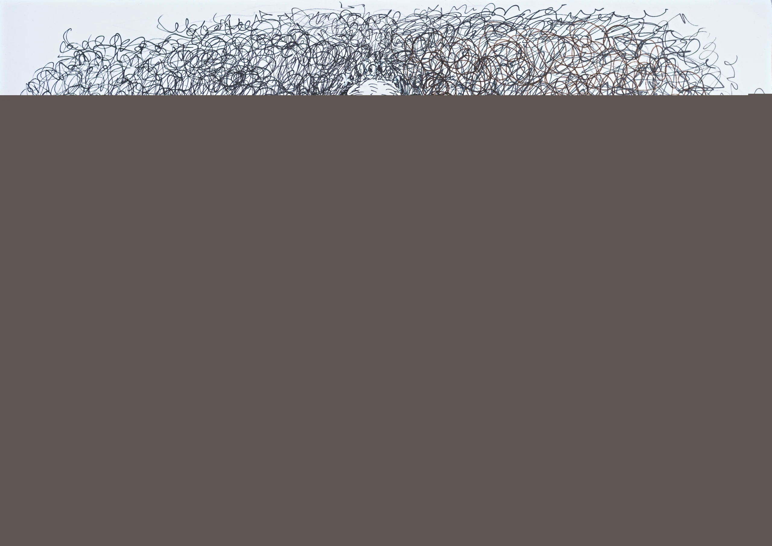 Blurred image background
