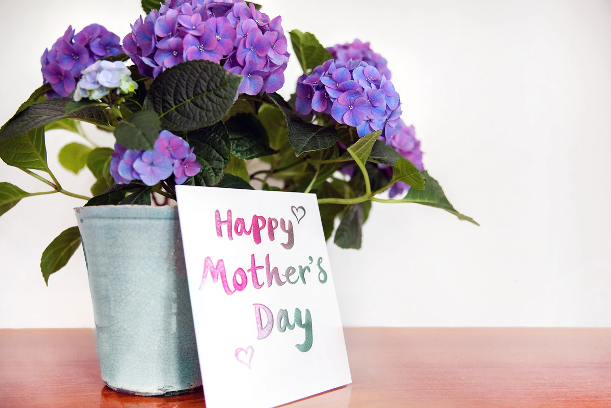 © Elke Mayr Blurred image background