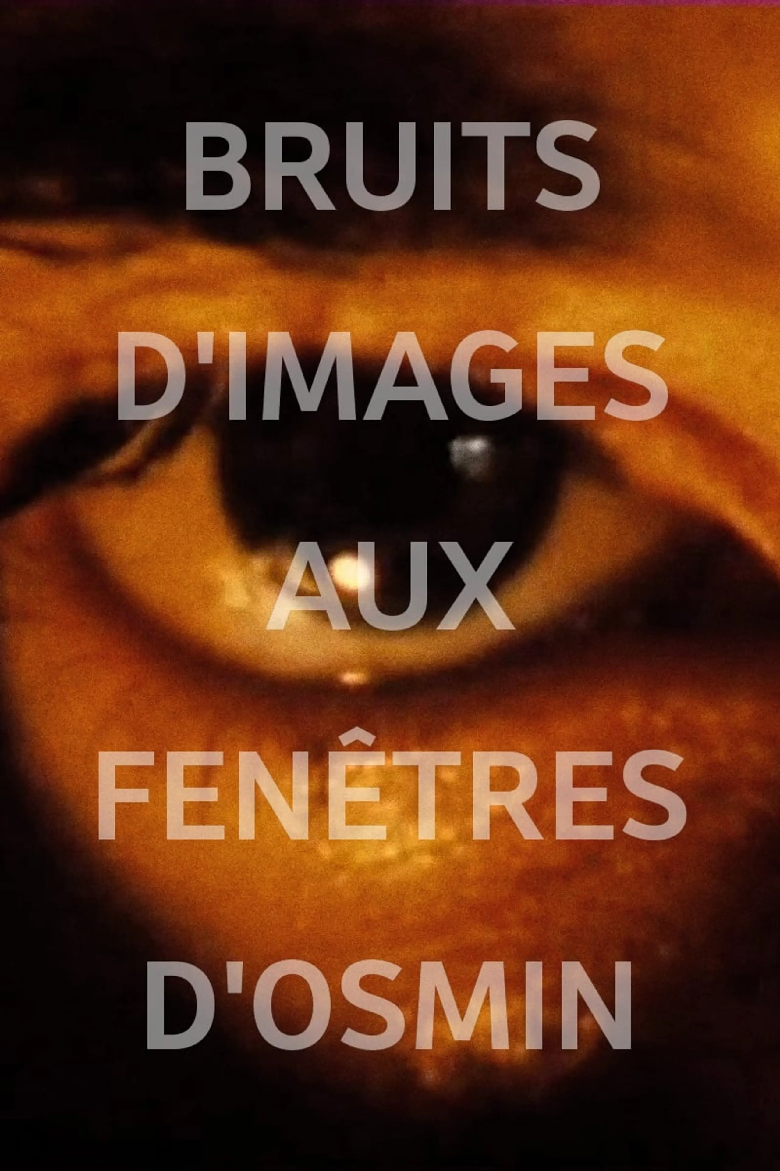 Bruits d'images aux fenêtres d'Osmin