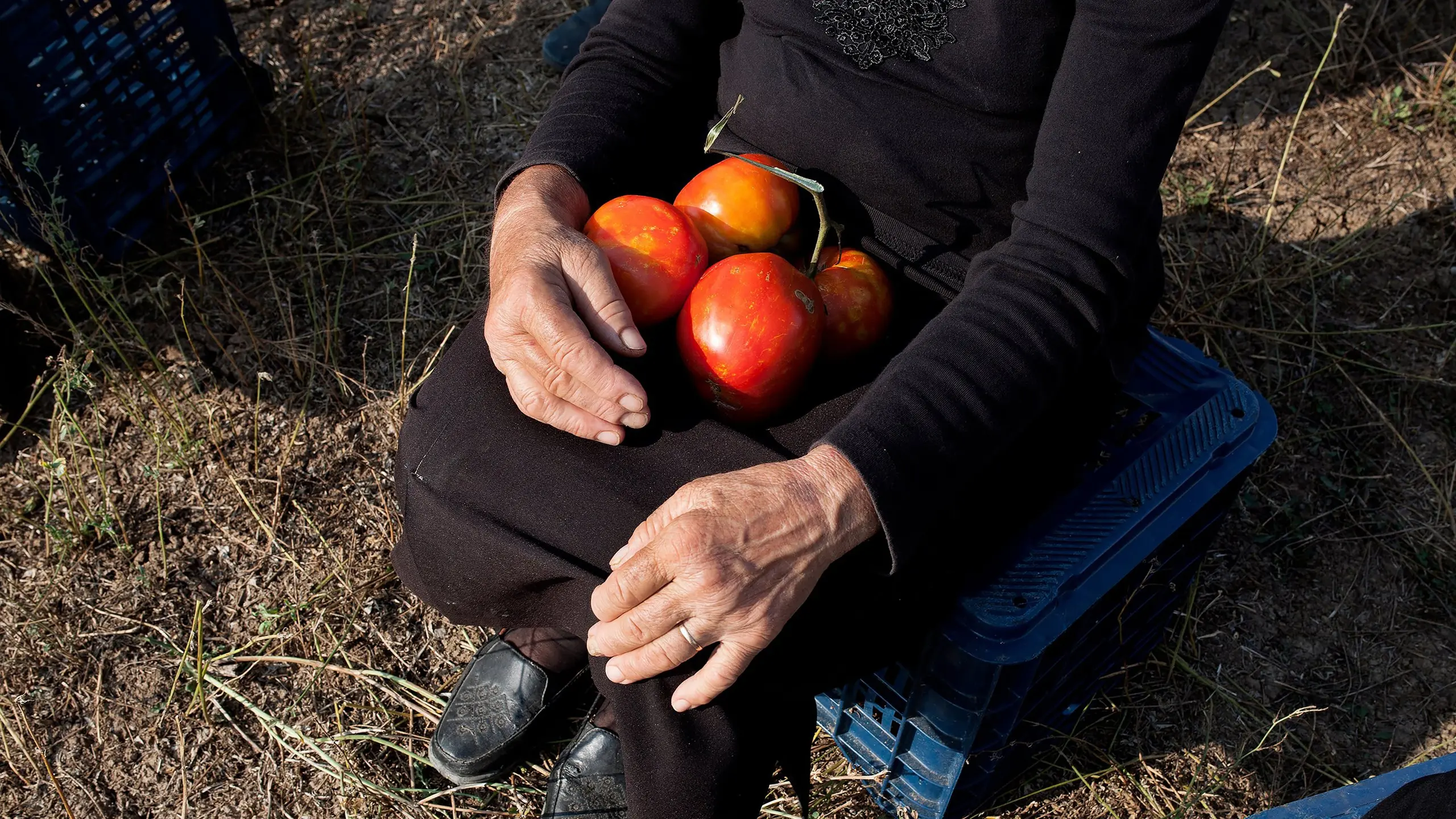 Όταν ο Βάγκνερ συνάντησε τις ντομάτες