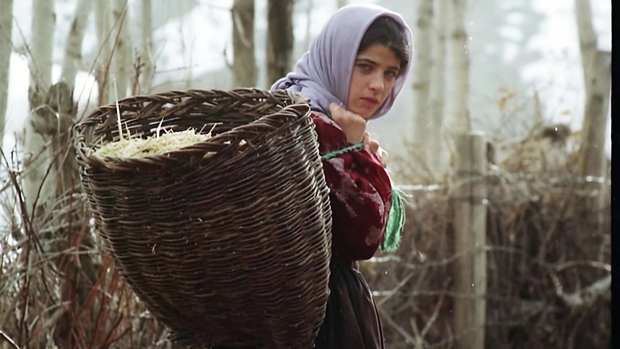 Marsiyeh barf