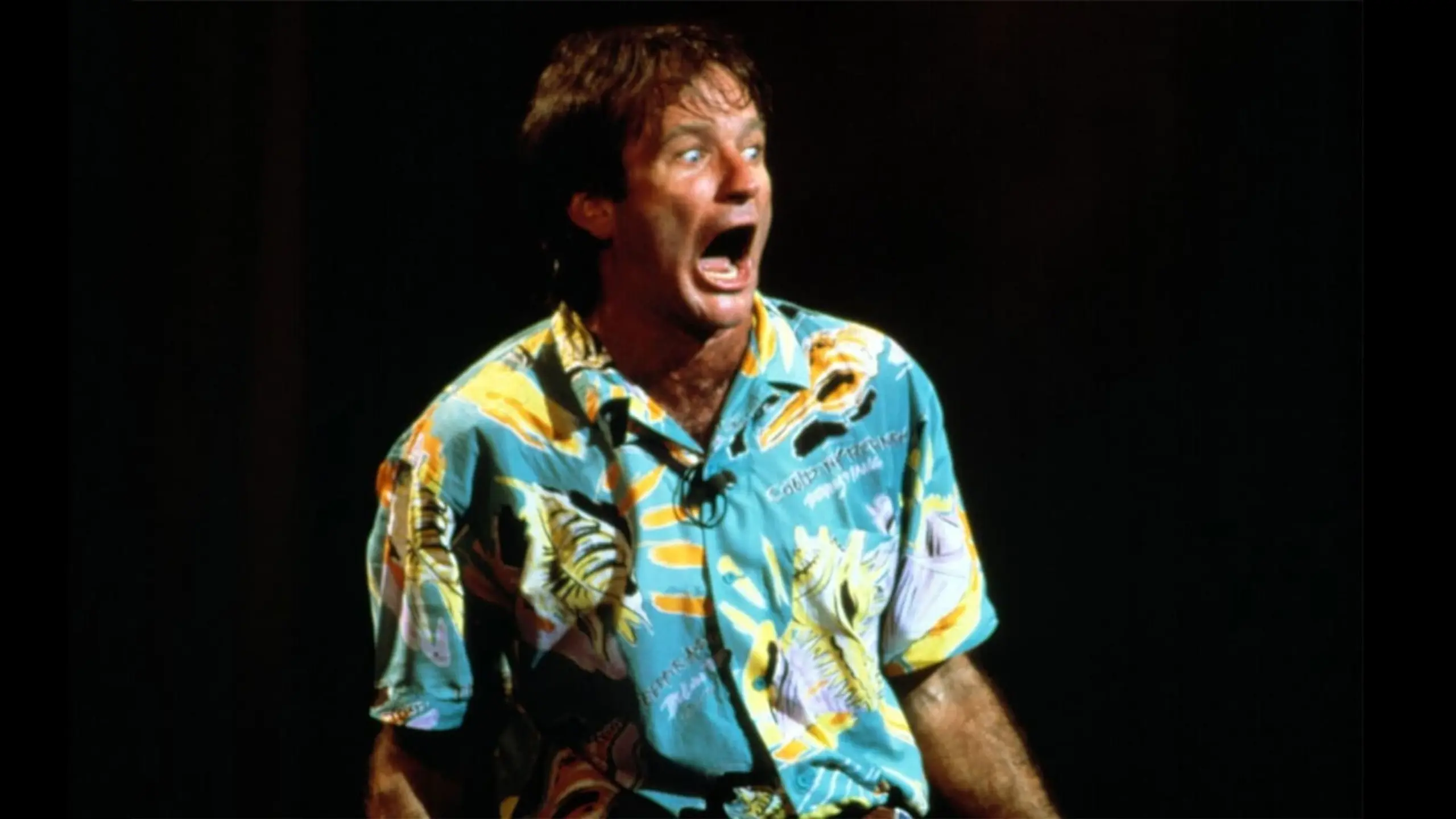 Robin Williams: An Evening at the Met