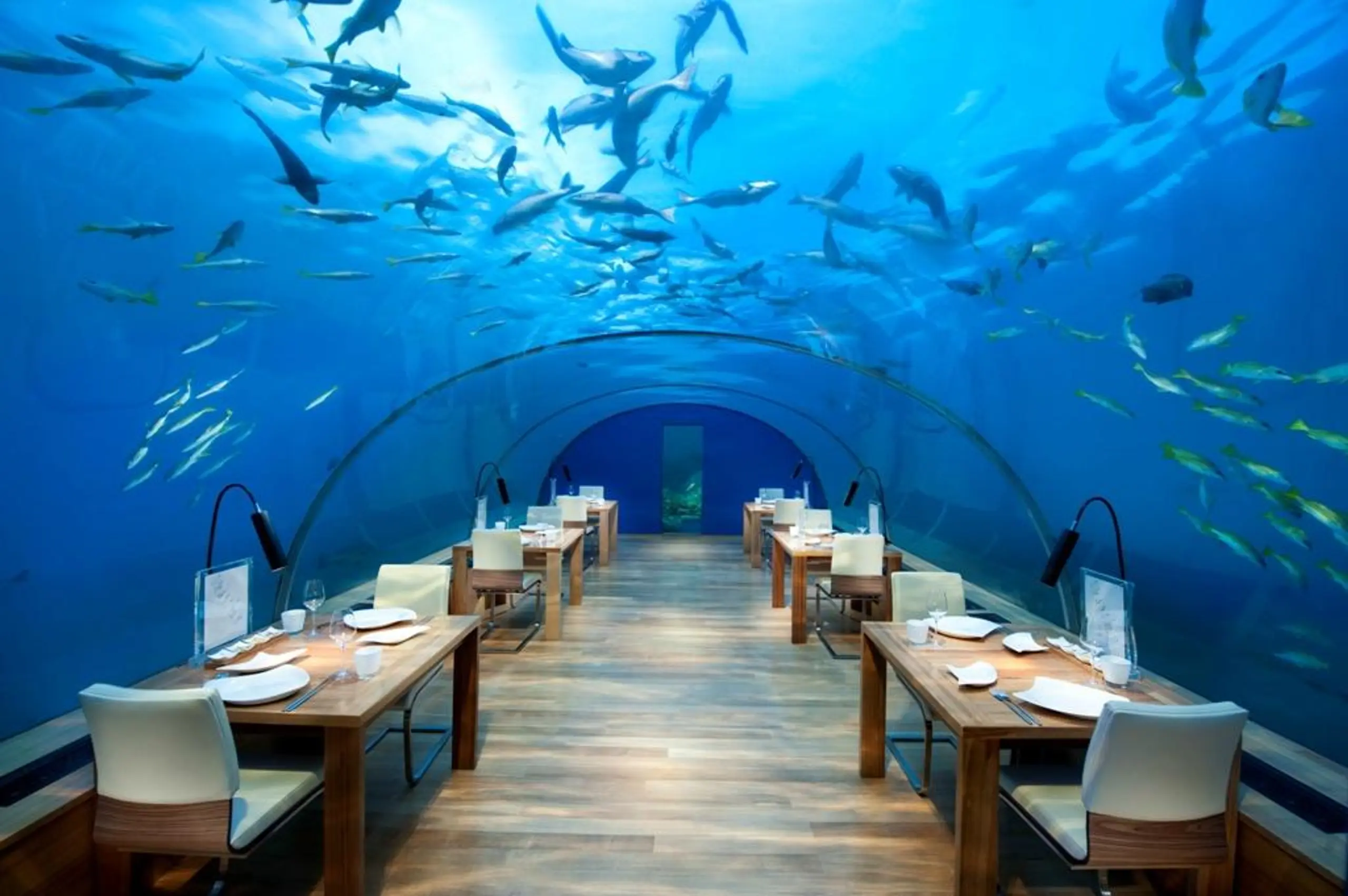 Ithaa Undersea Restaurant