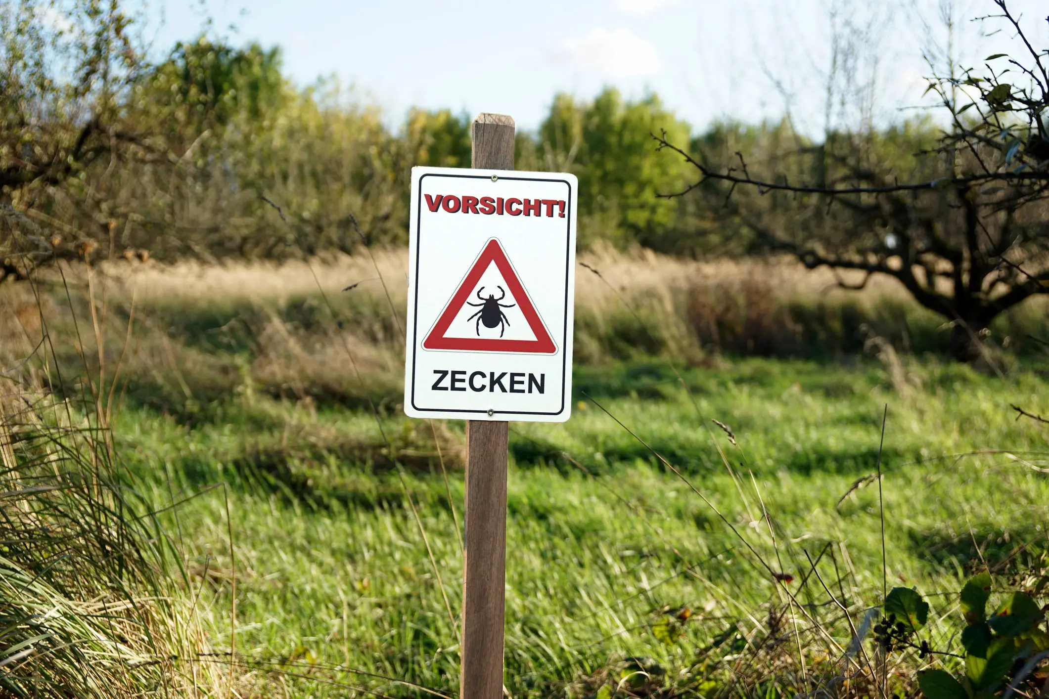 Zecken-Warnschild