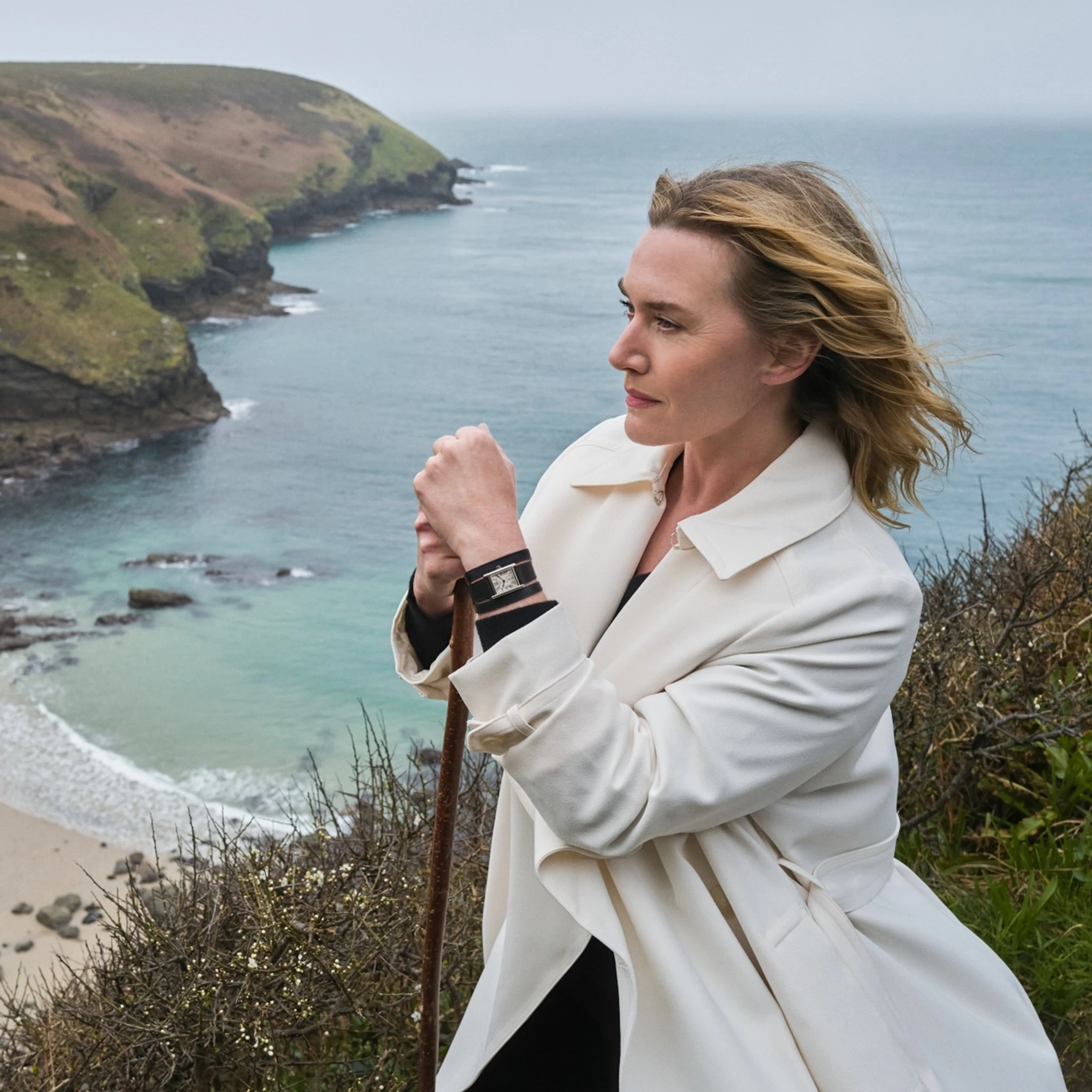 Hintergrundbild des Collage-Eintrags