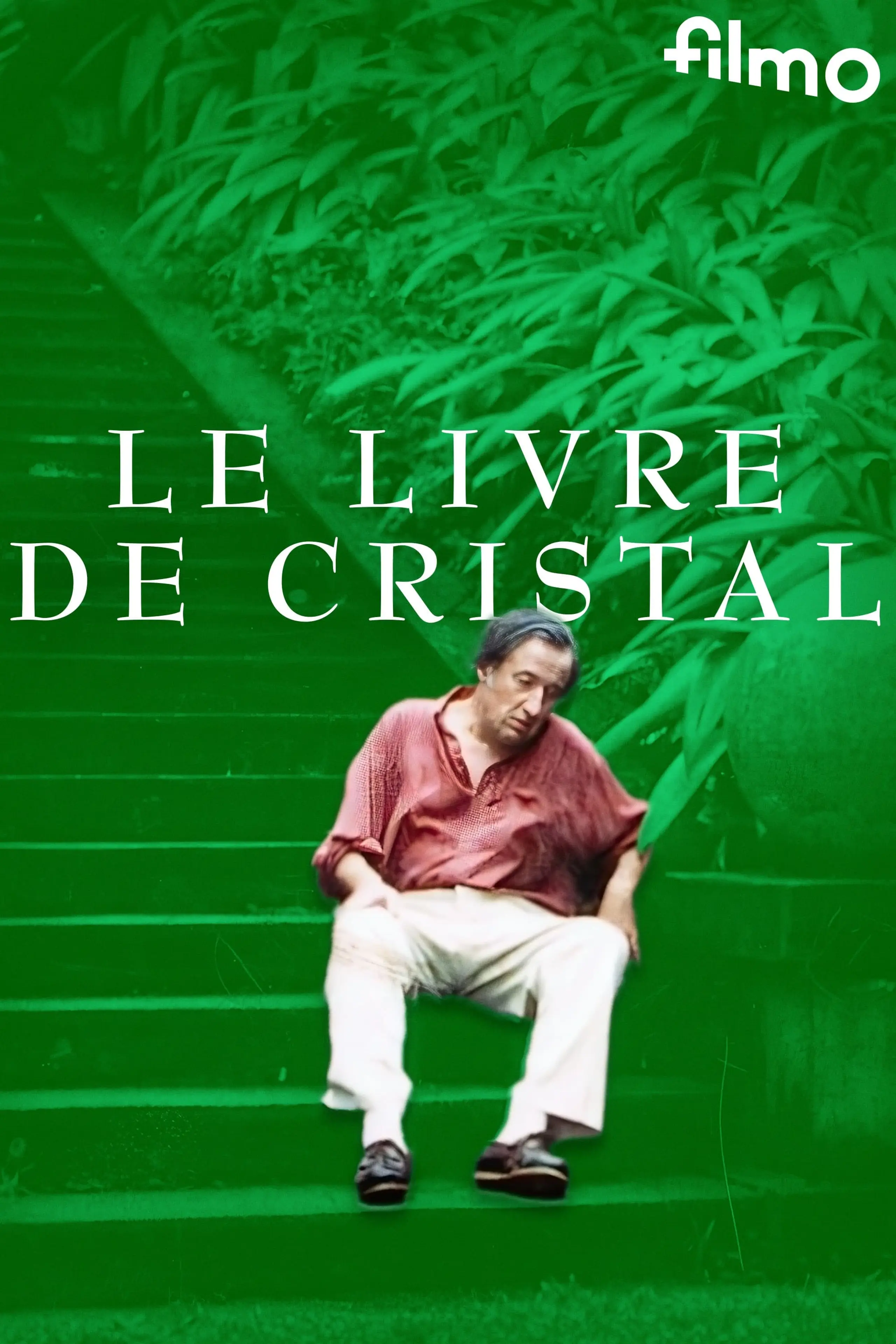 Le livre de cristal