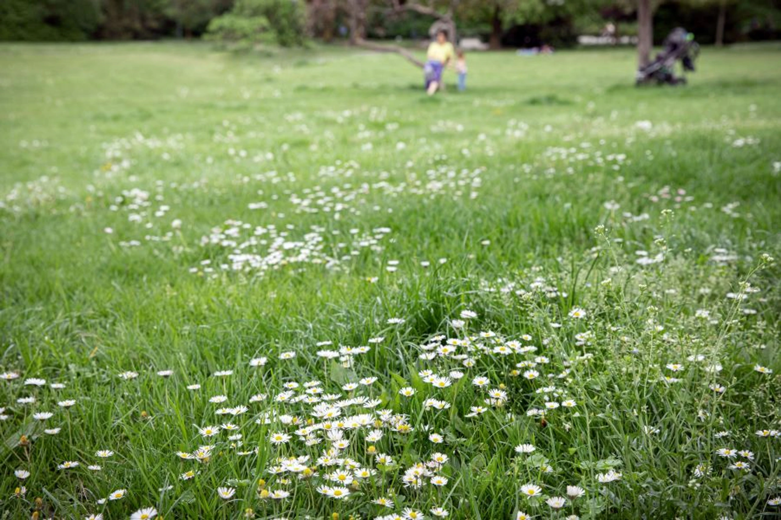 100-gruende-dankbar-zu-sein