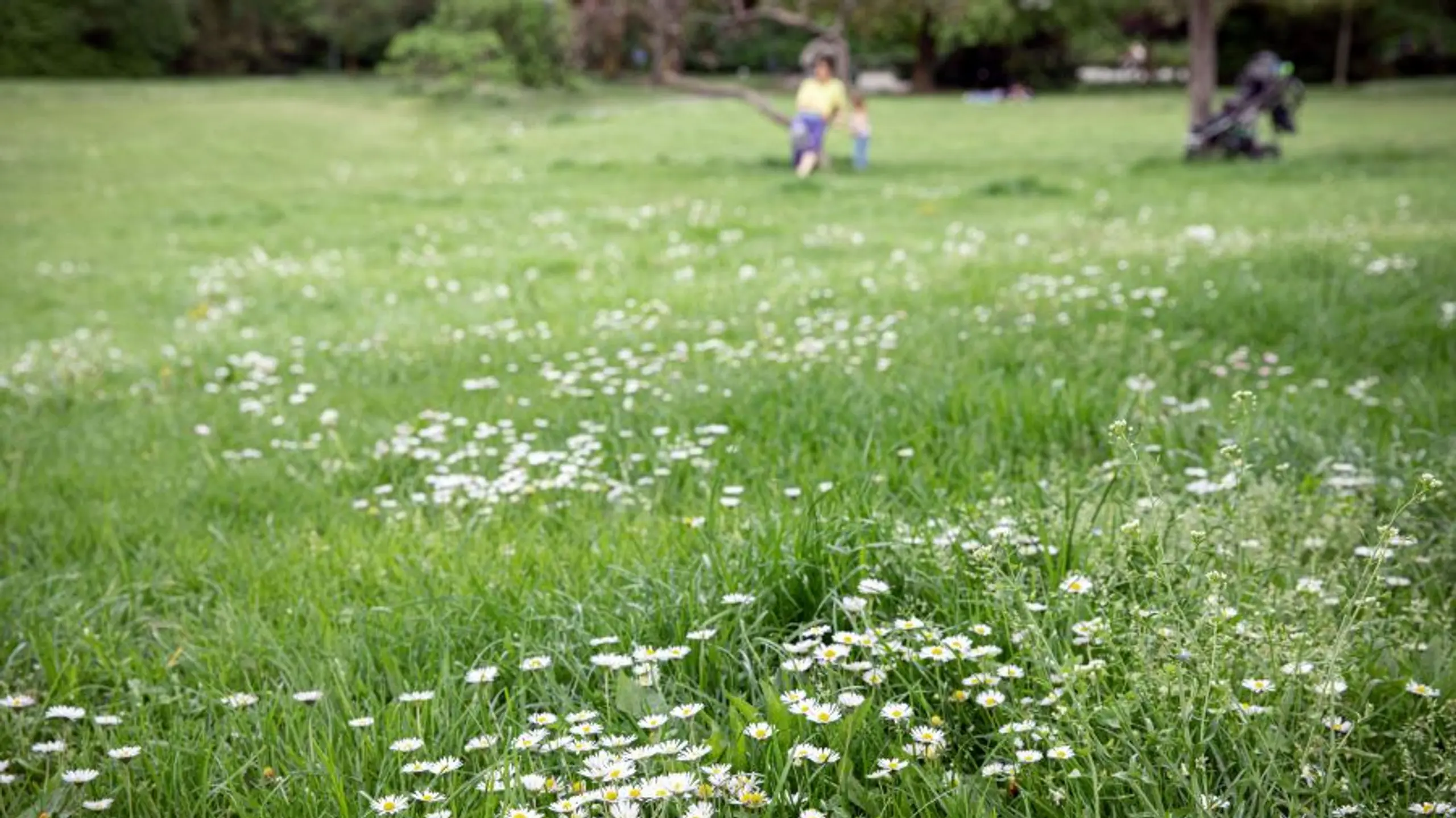 100-gruende-dankbar-zu-sein