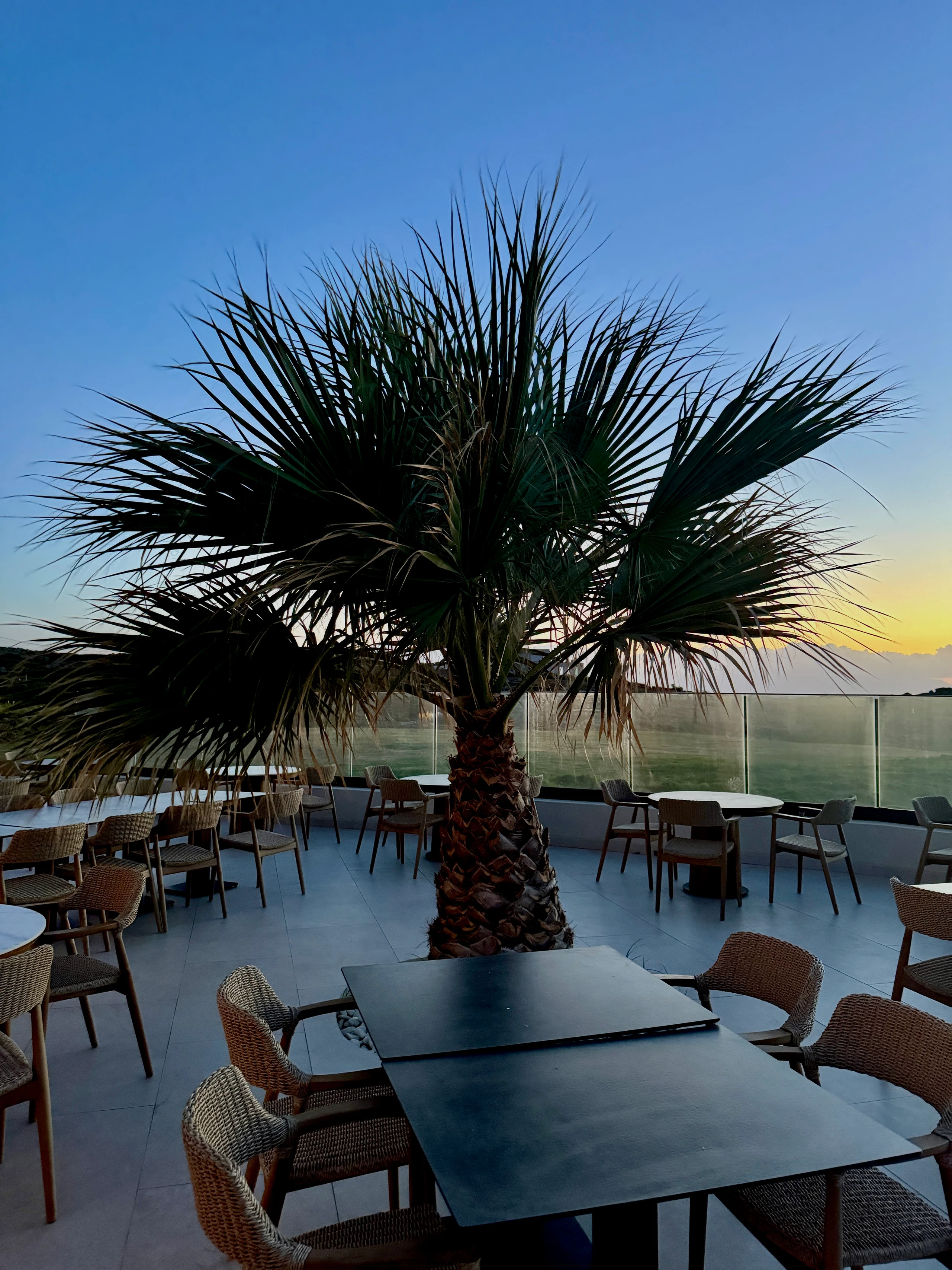 © Jennifer Hauska Bild