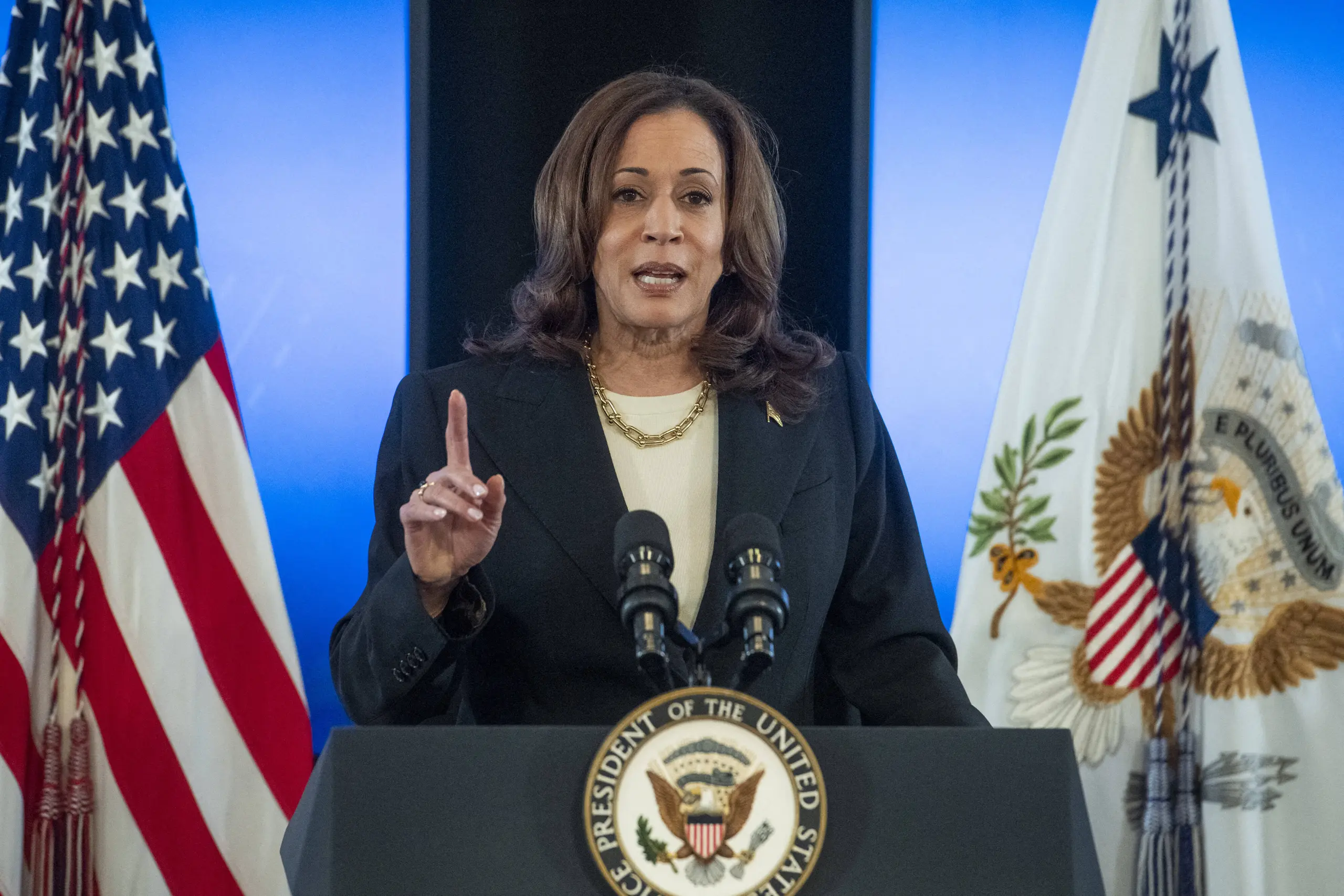 Kamala Harris und die Wirtschaft: Klimaschutz als Prämisse