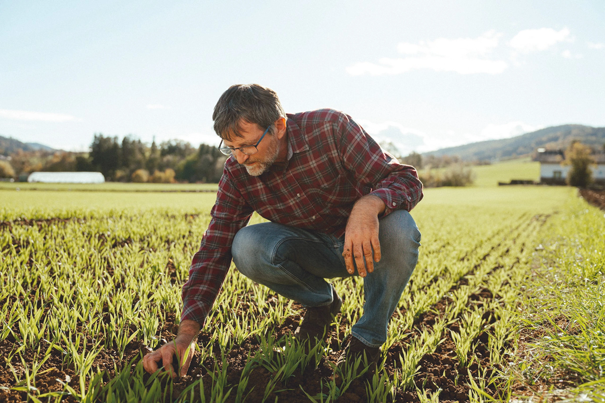 Blurred image background