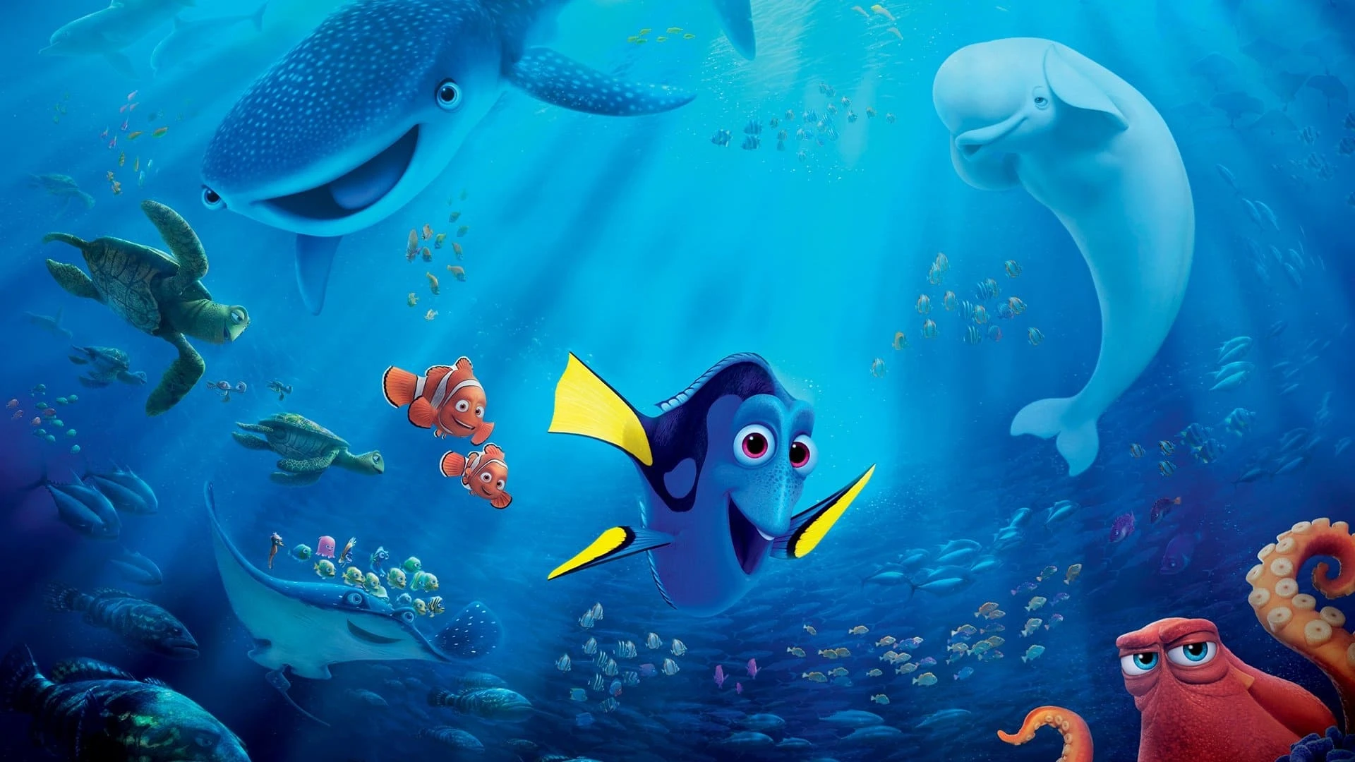 Findet Dorie
