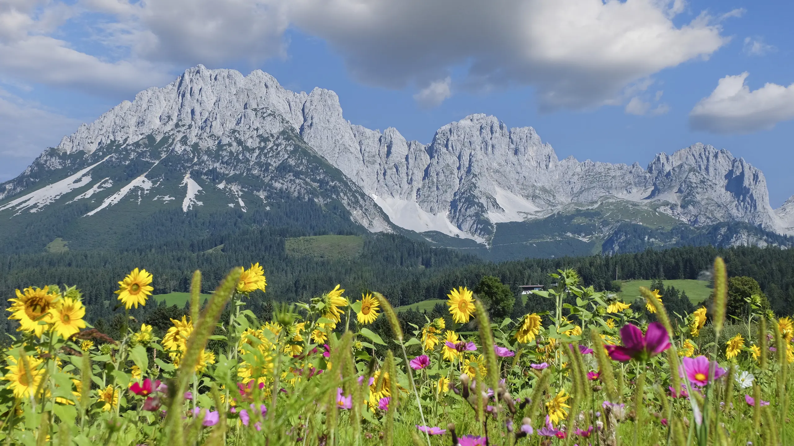 Wilder Kaiser