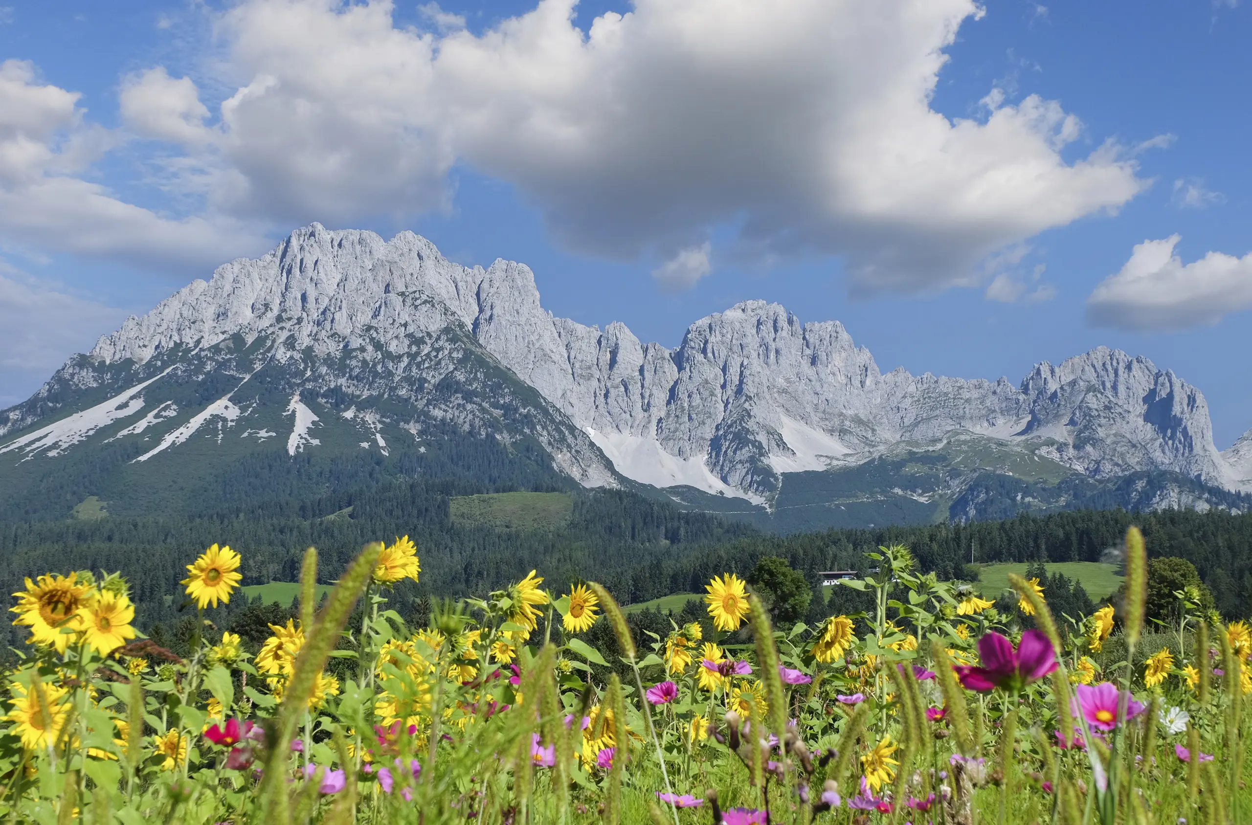 Wilder Kaiser