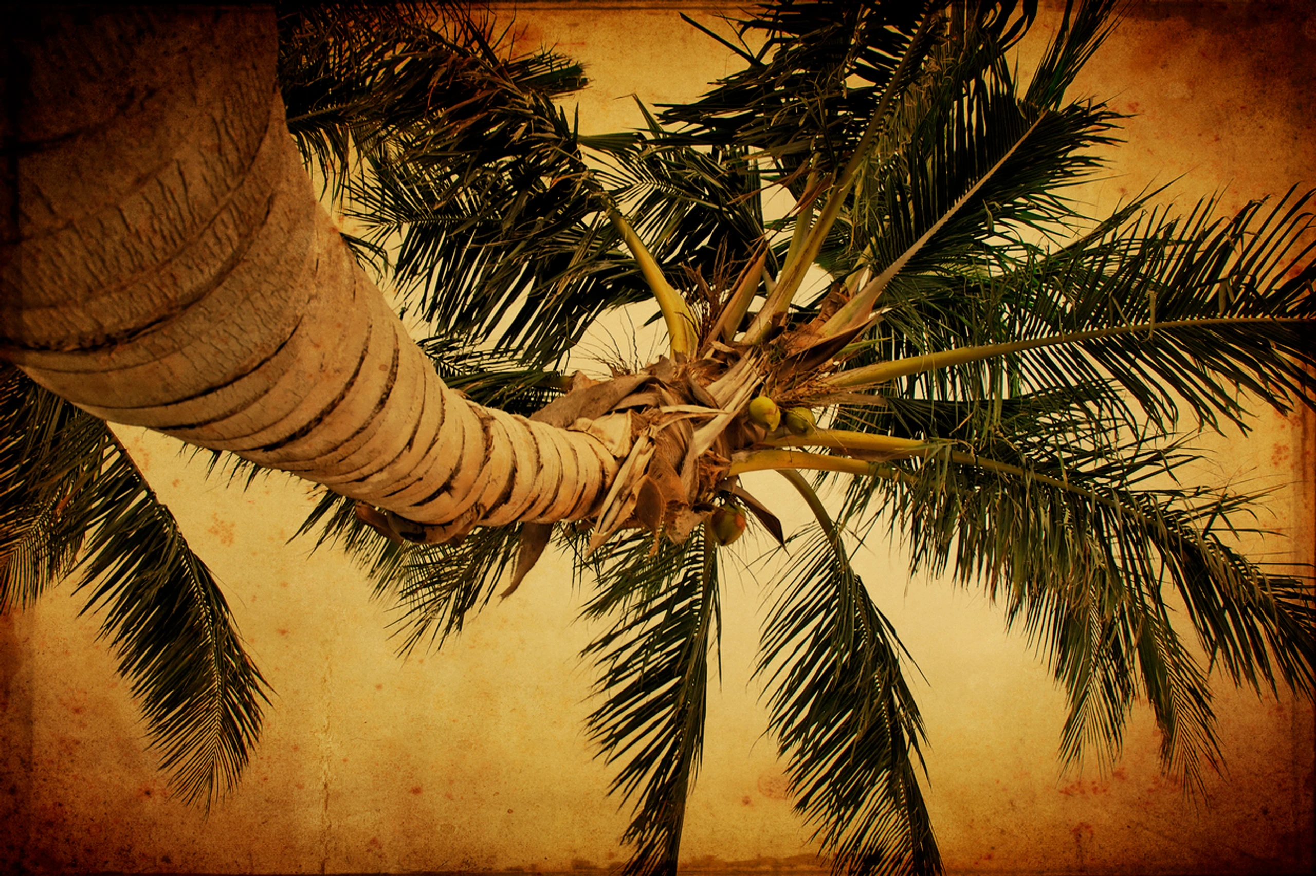 © iStockphoto.com Blurred image background