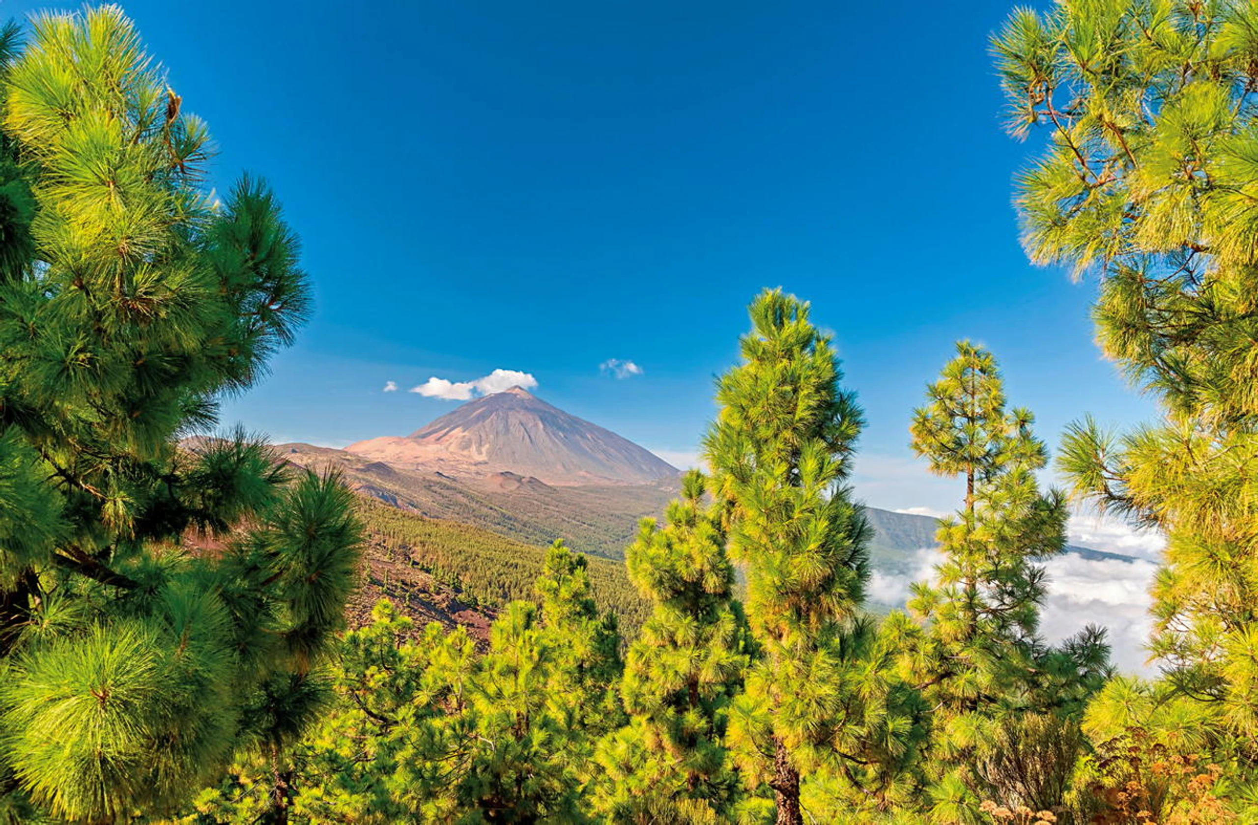 Ein langes  Wochenende in Teneriffa
