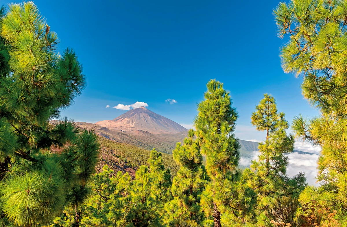 Ein langes  Wochenende in Teneriffa