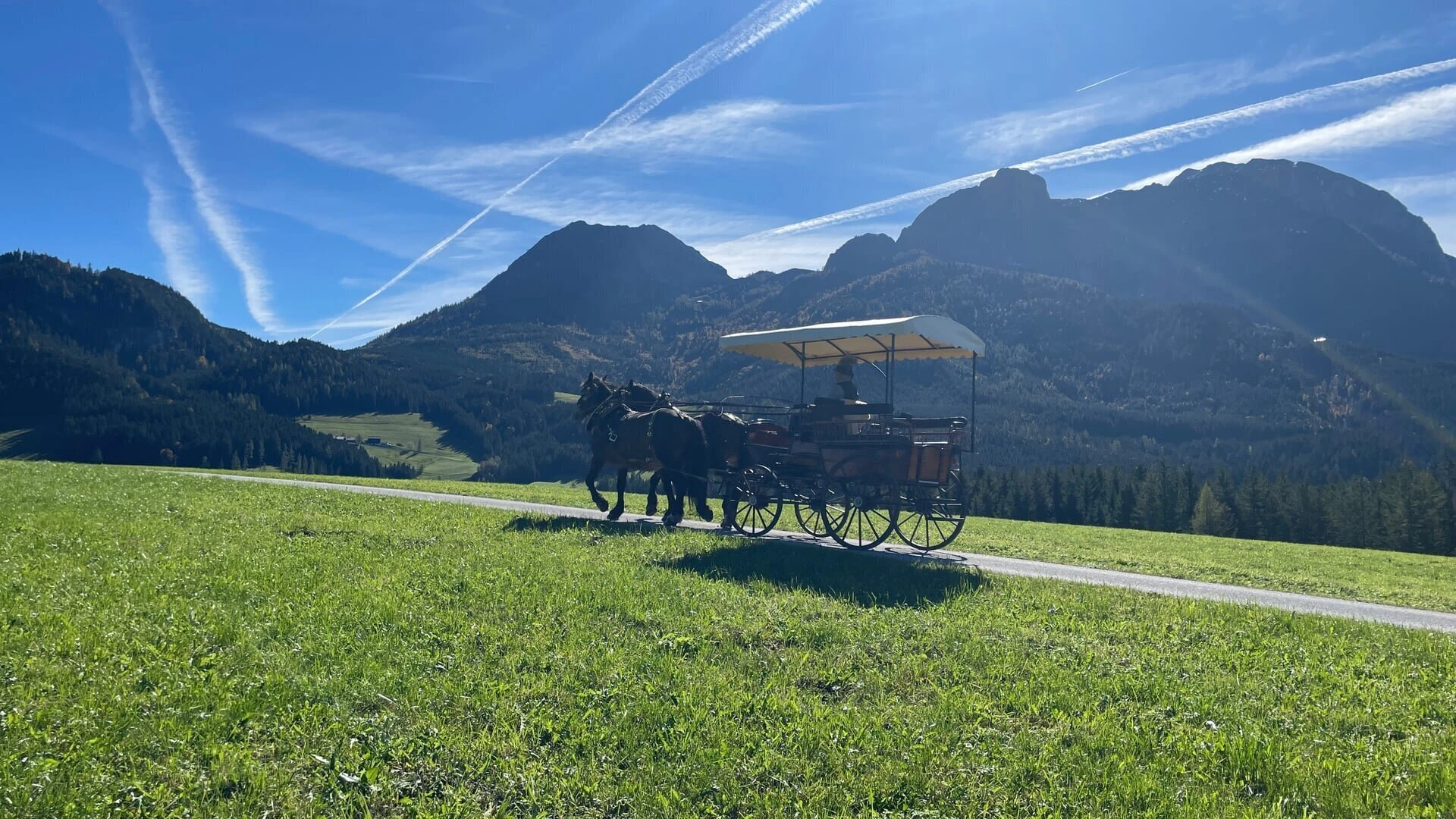Zurück zur Natur