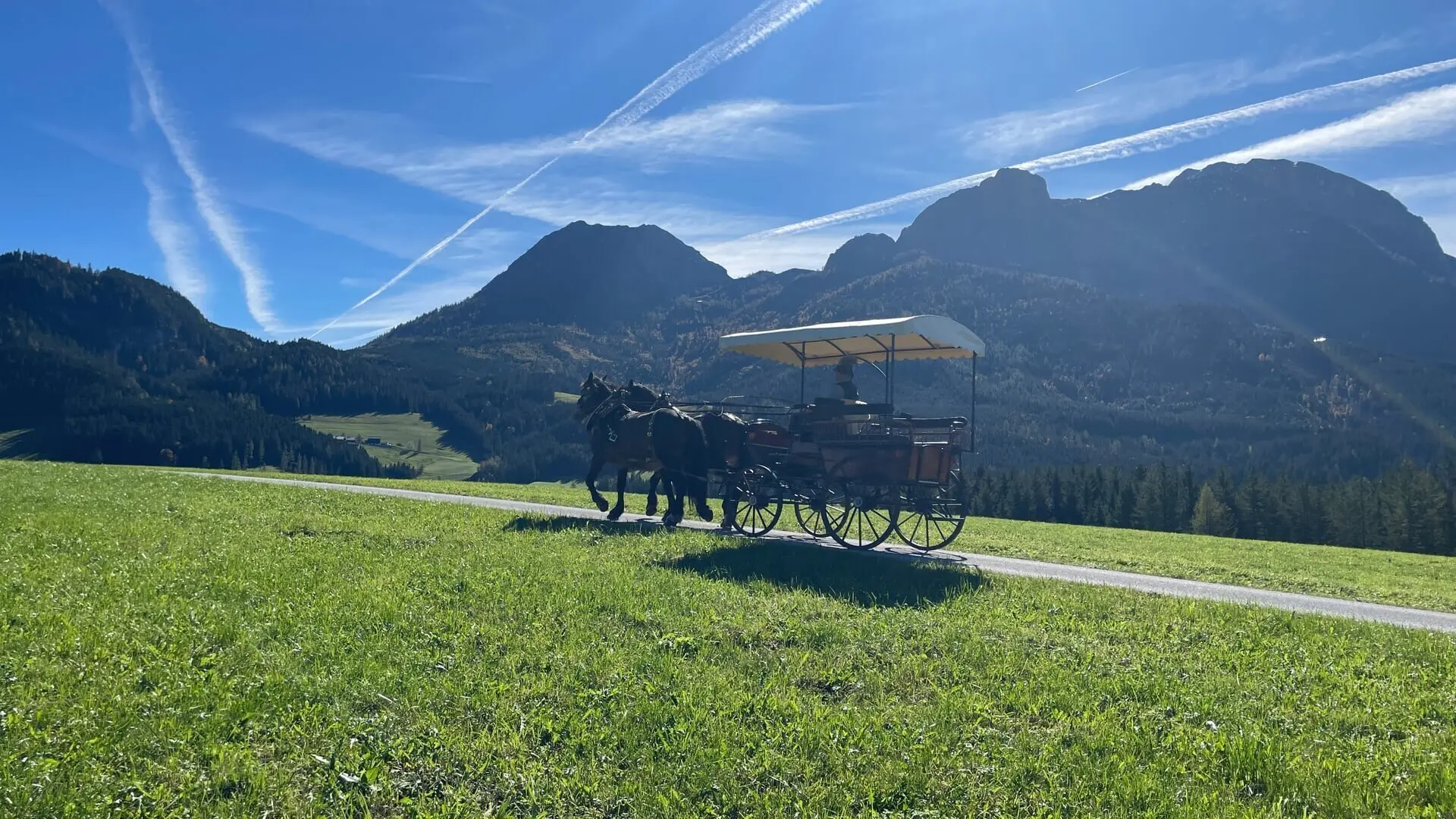 Zurück zur Natur