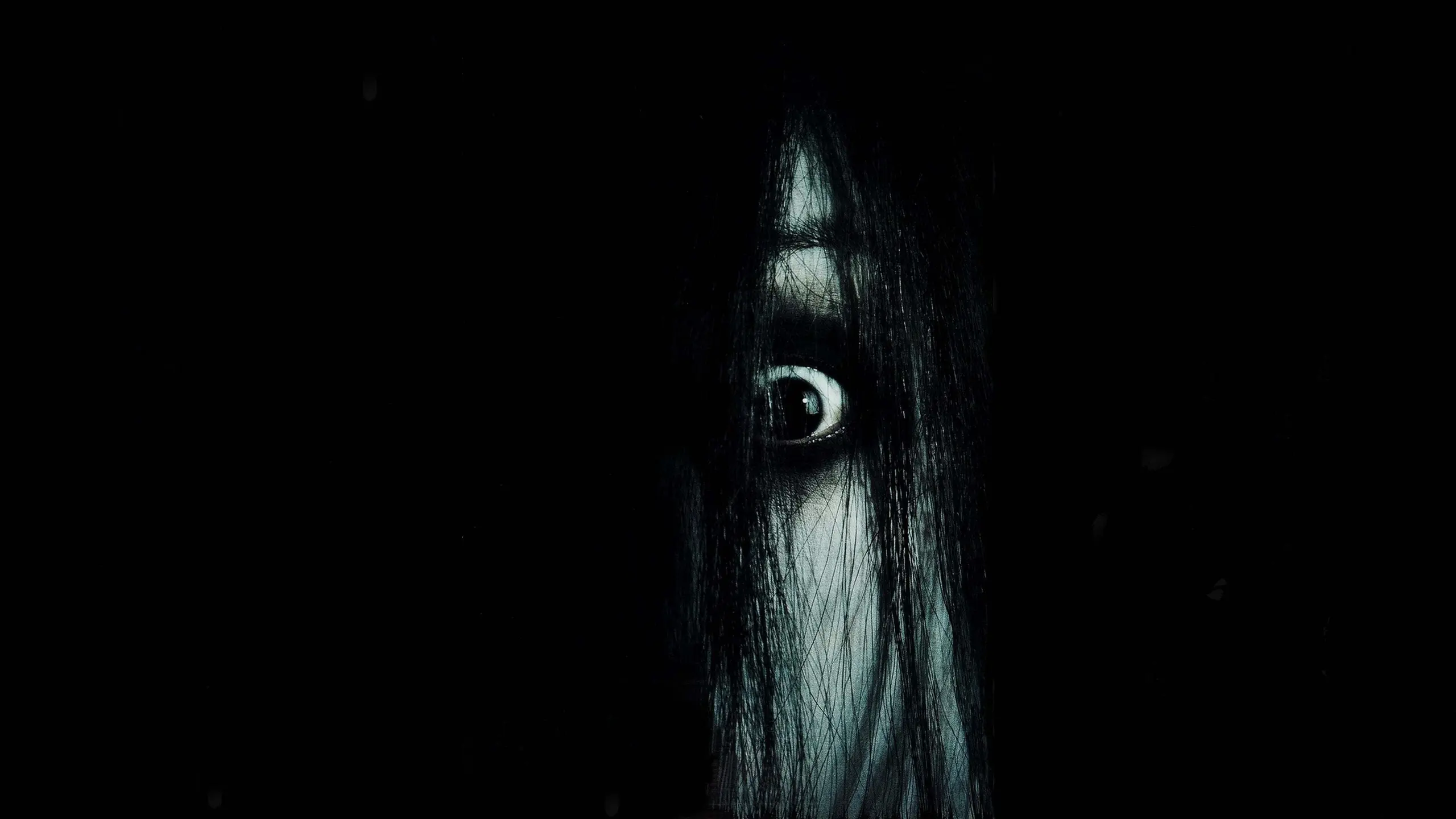 Der Fluch – The Grudge