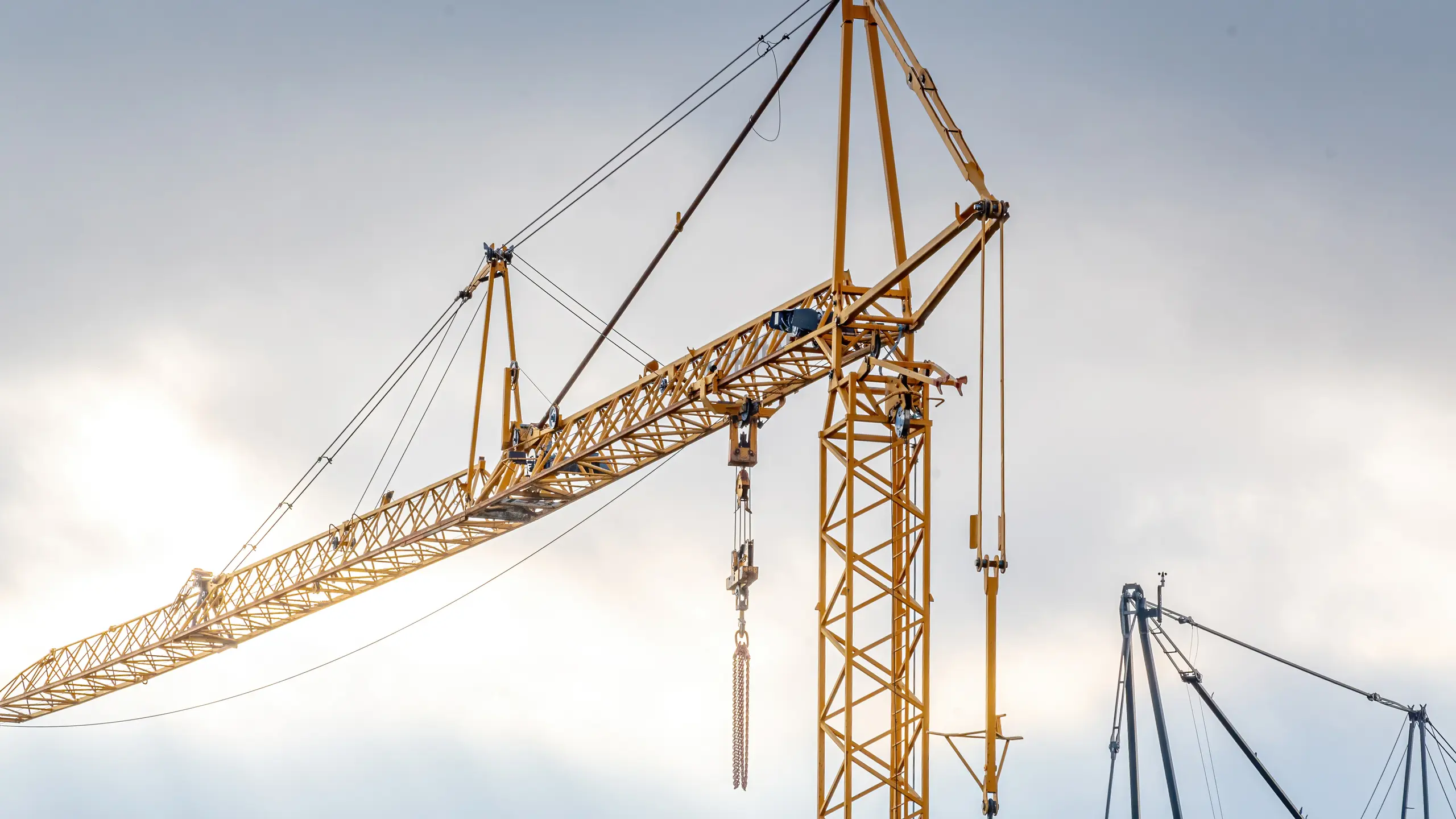 © iStockphoto Artikelbild