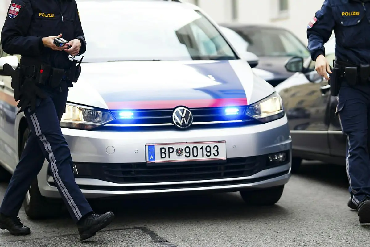 Landespolizeidirektion Wien erstattete auch Anzeige nach Verbotsgesetz