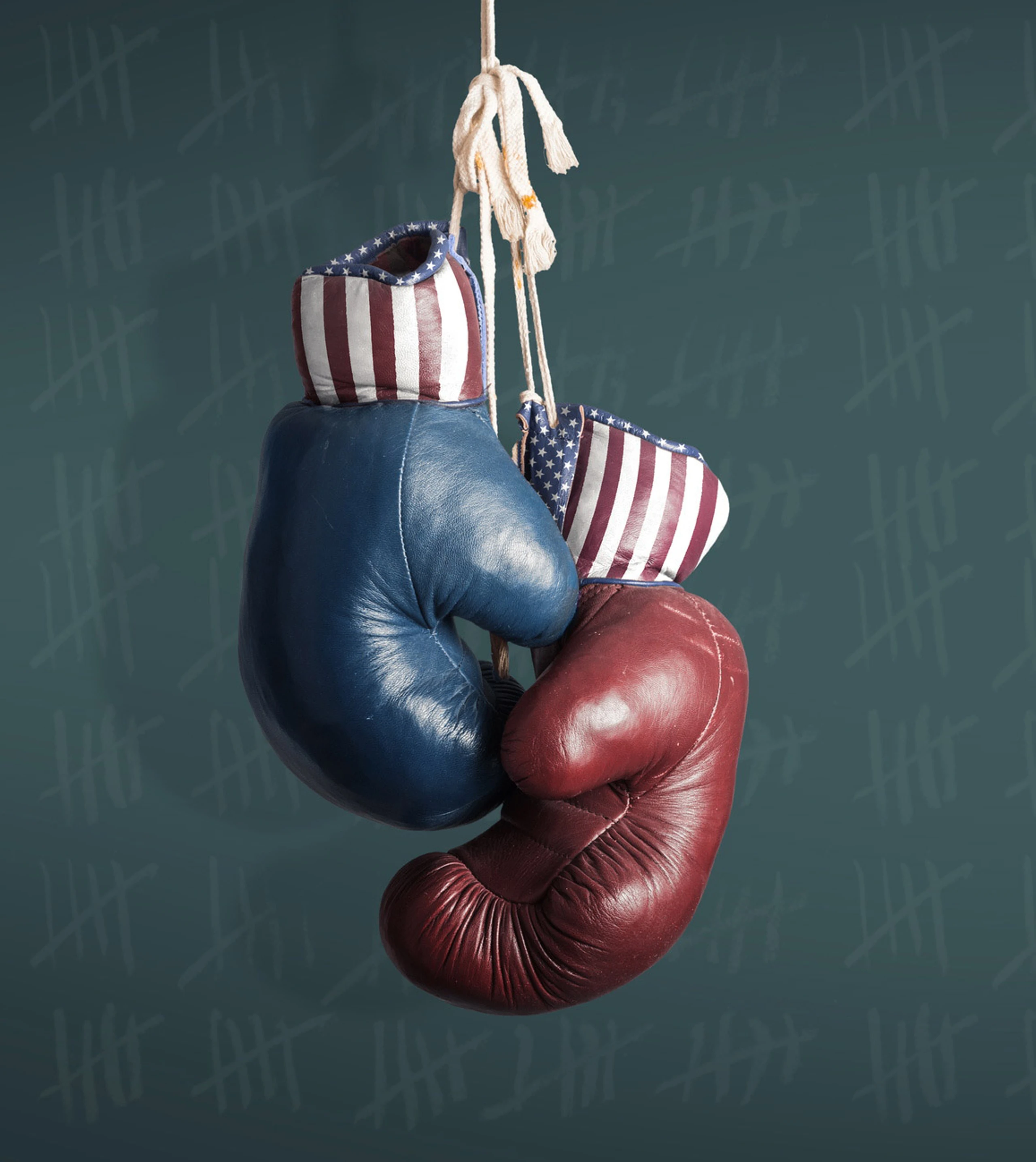 US-Wahl 2024: Diese Swing States entscheiden die Wahl