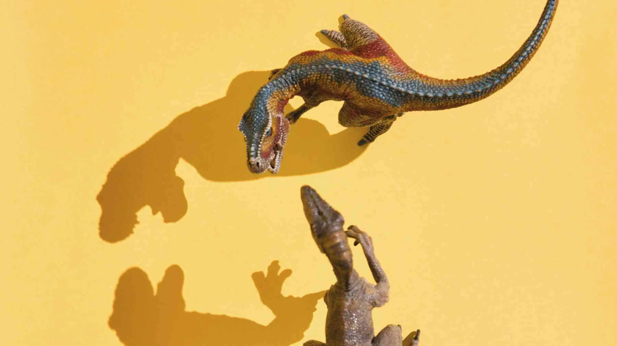 Spielzeug-Dinosaurier auf gelbem Hintergrund