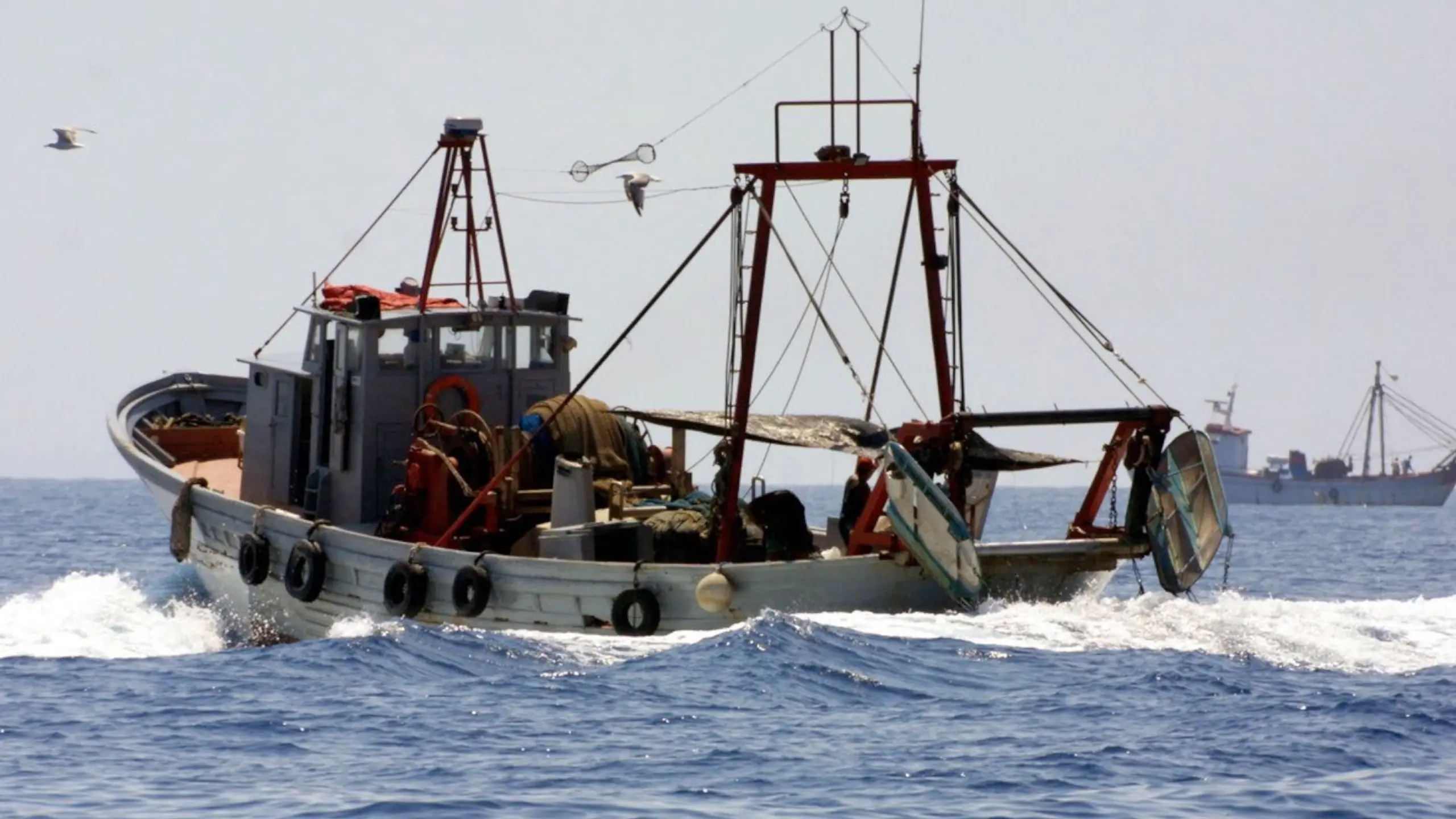 Schritt für Schritt in Richtung nachhaltige Fischerei im Mittelmeer: GFCM verabschiedet neue Schutzmaßnahmen