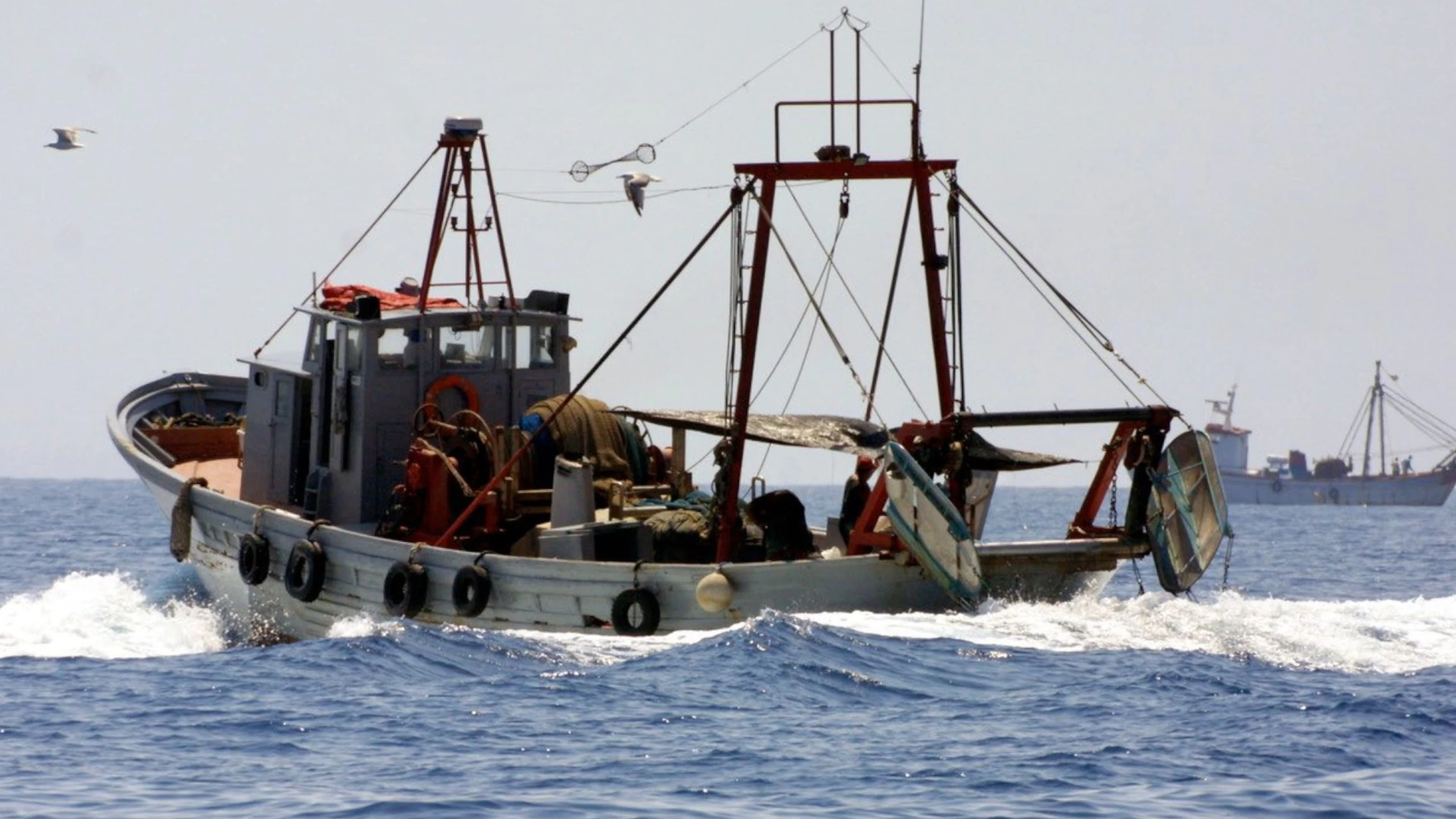Schritt für Schritt in Richtung nachhaltige Fischerei im Mittelmeer: GFCM verabschiedet neue Schutzmaßnahmen