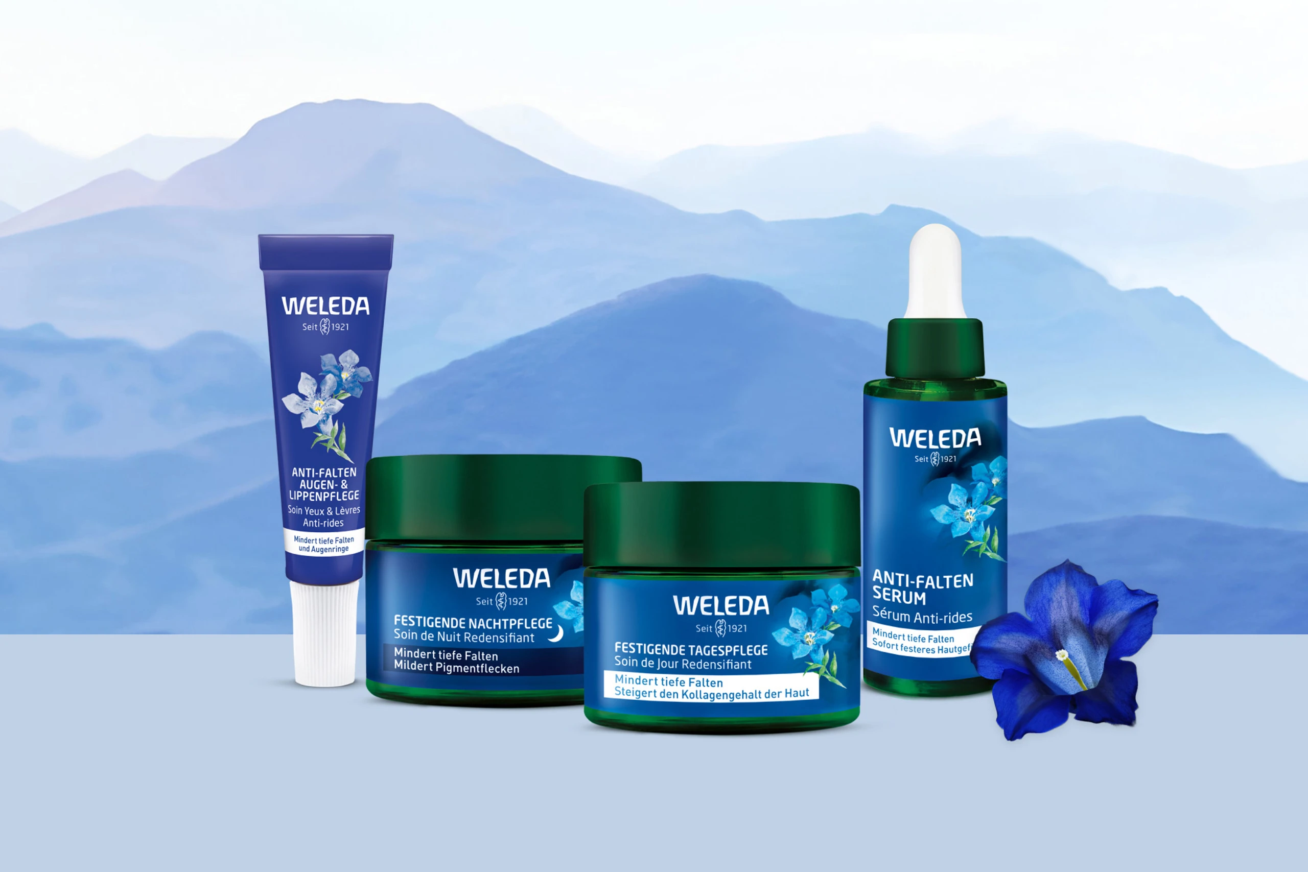 Blurred image background