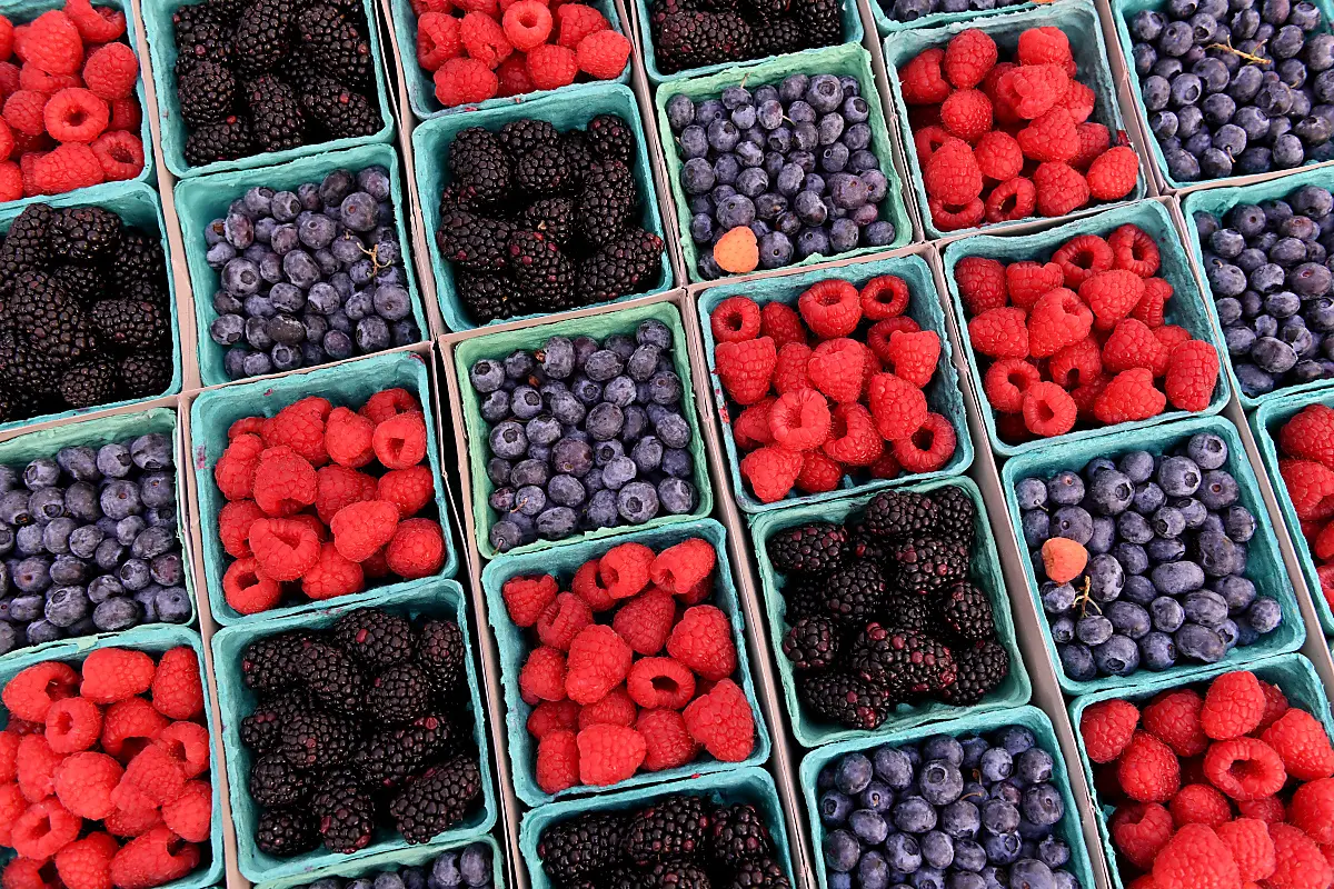 Vor allem im Winter ergänzen Tiefkühlprodukte das Frischwaren-Angebot