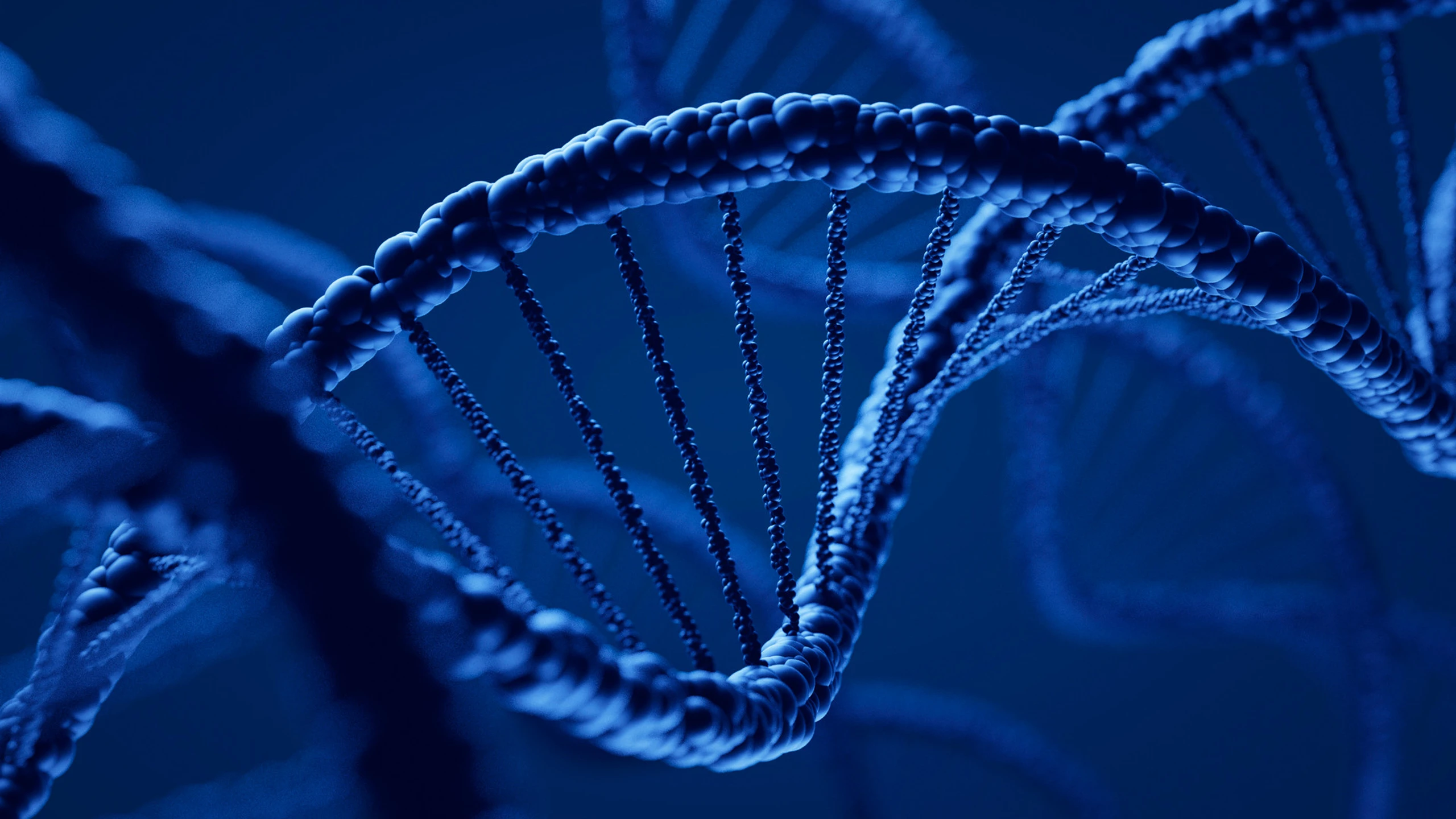 Revolution in der Medizin: Künstliche Intelligenz entschlüsselt die Geheimnisse der Proteine