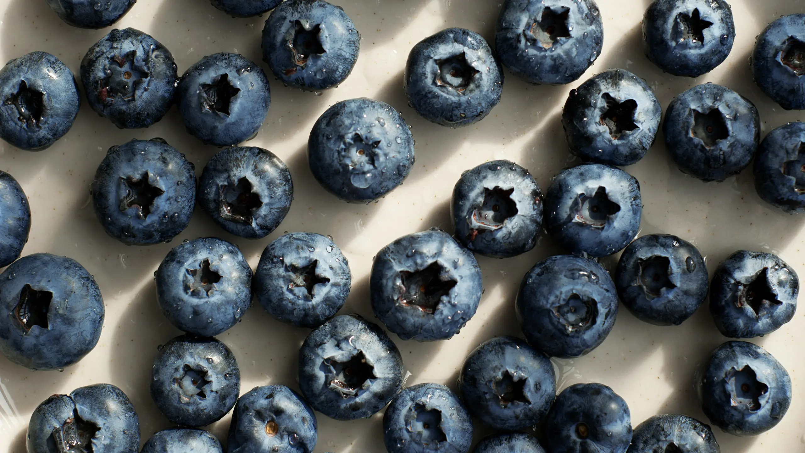 Heidelbeeren auf heller Oberfläche