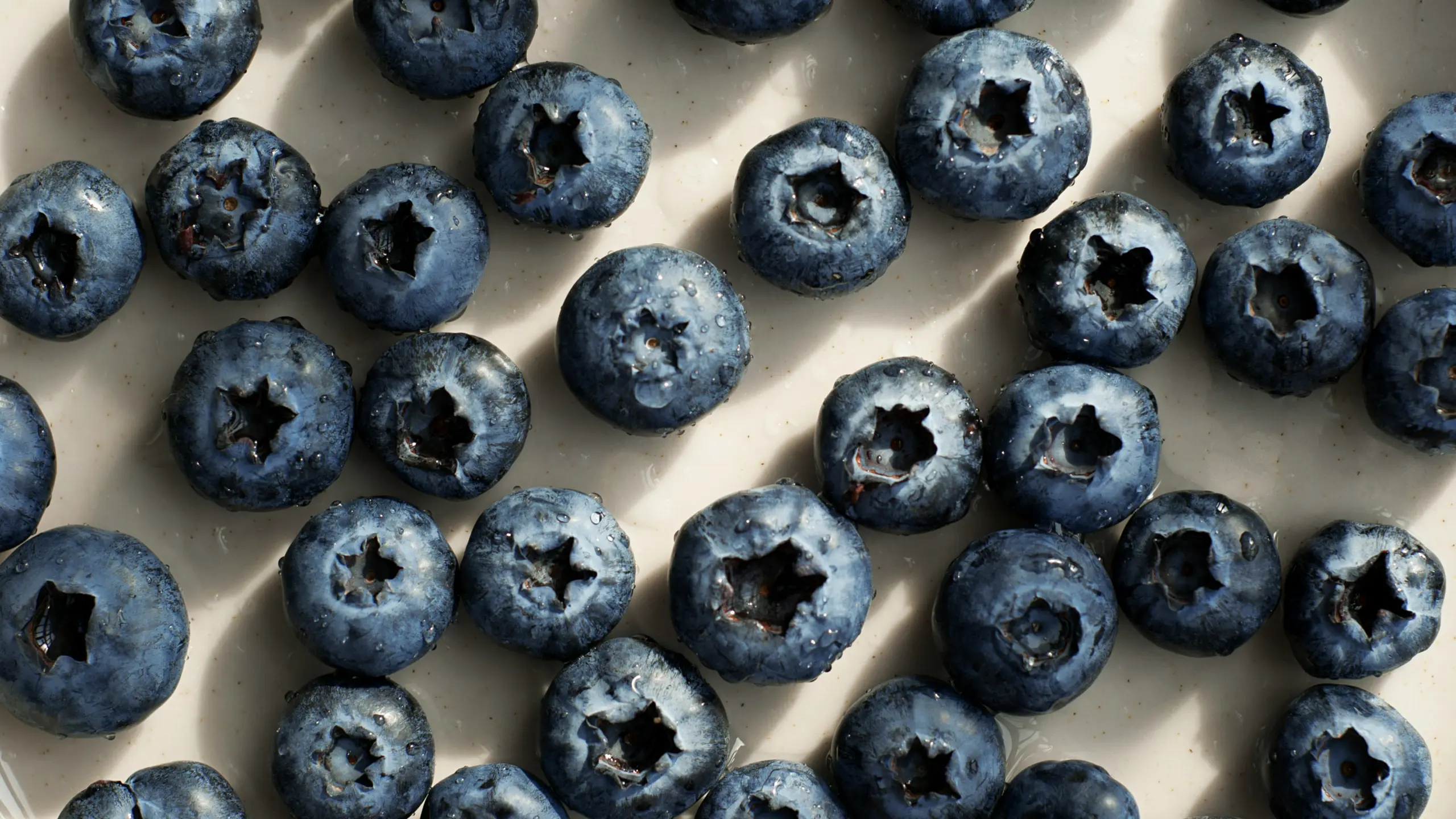 Heidelbeeren auf heller Oberfläche