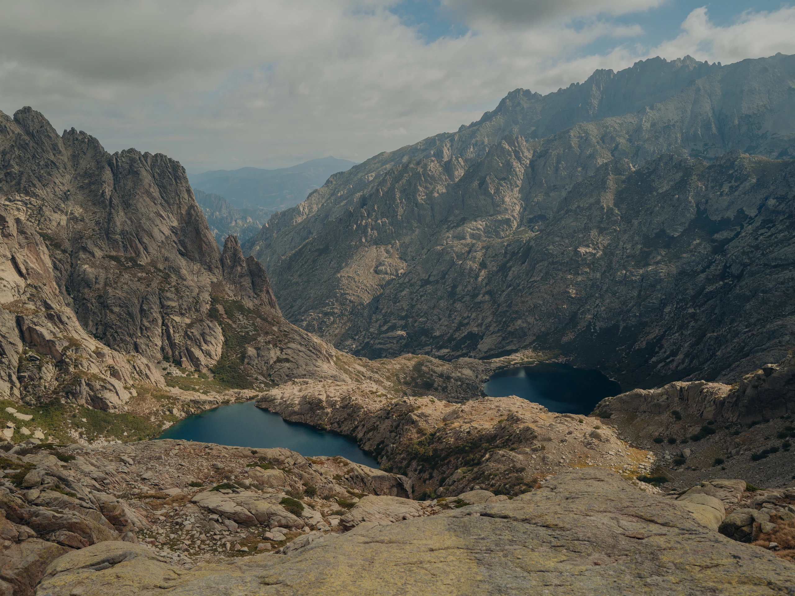 Blurred image background