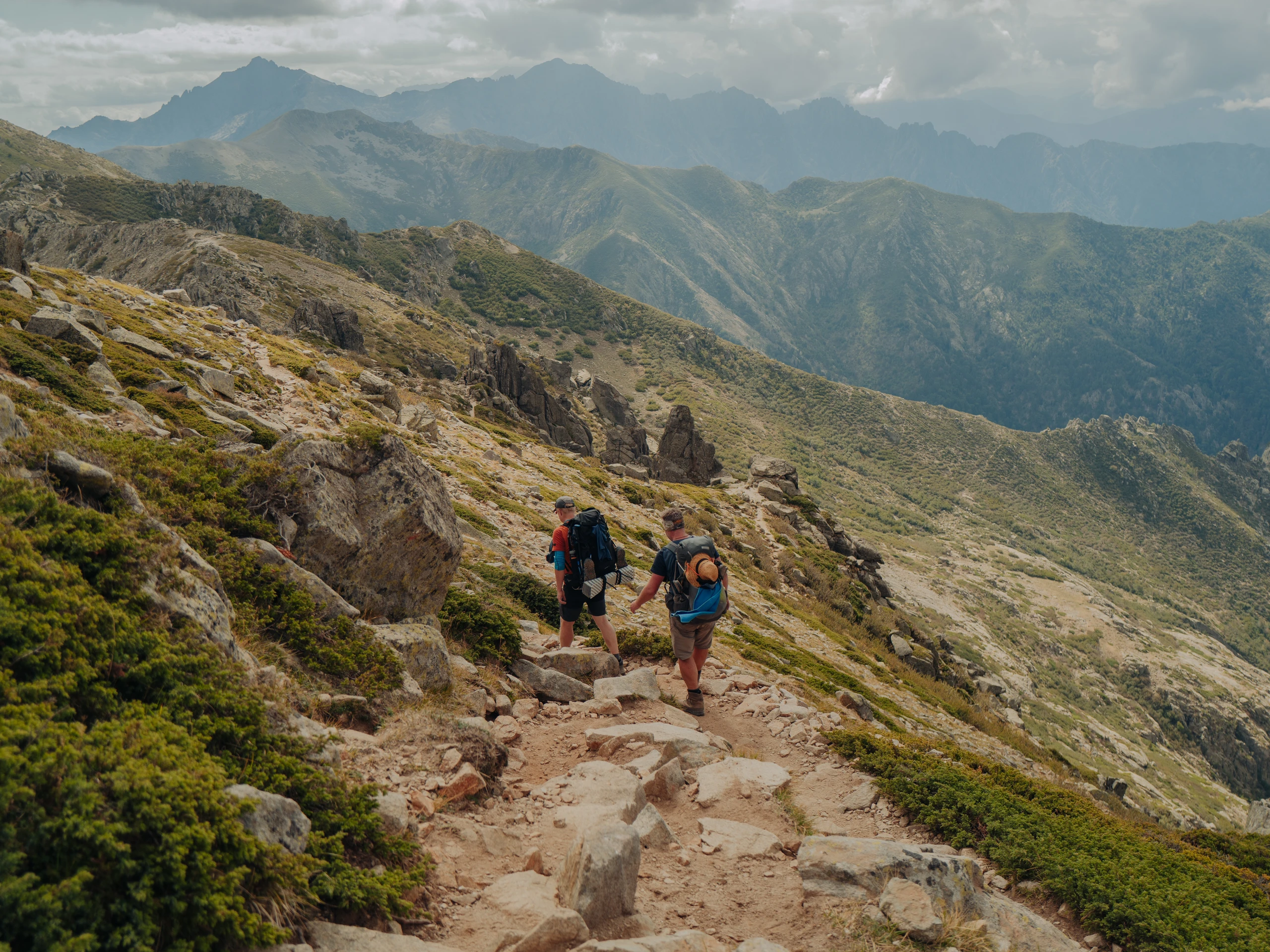 Blurred image background