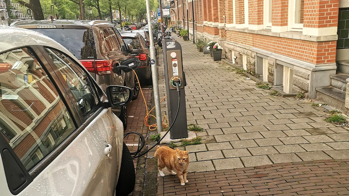 Autofahren in den Niederlanden: Das ist zu beachten