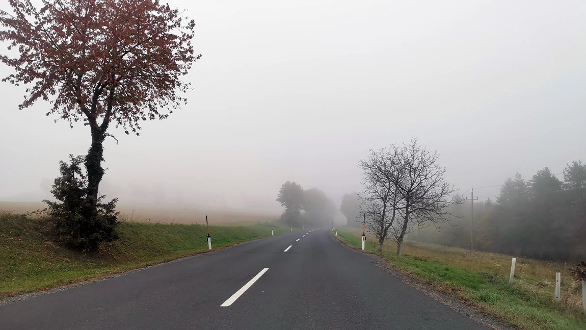 Sicher Autofahren bei Nebel: 6 Tipps