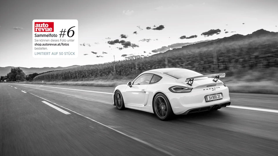 Porsche Cayman GT4: Berserker & Handwerker