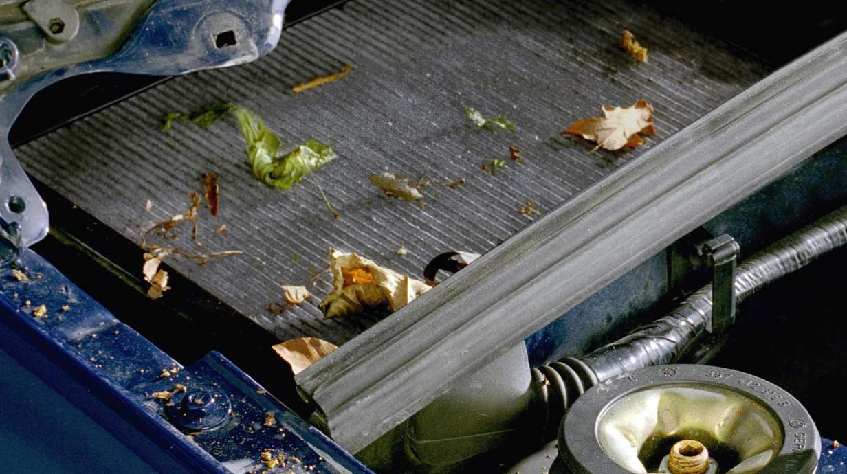 Fragen und Antworten zum Pollenfilter im Auto